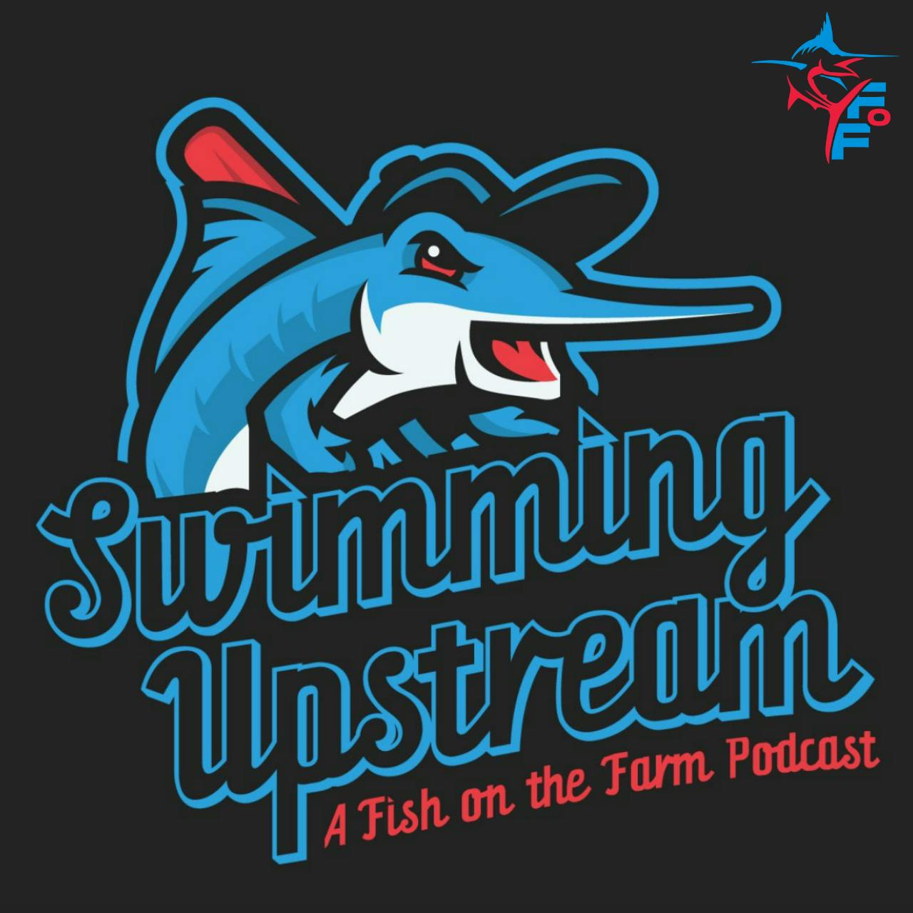 Swimming Upstream | 2024 Marlins Minor League Season Summary Superpod, Part II
