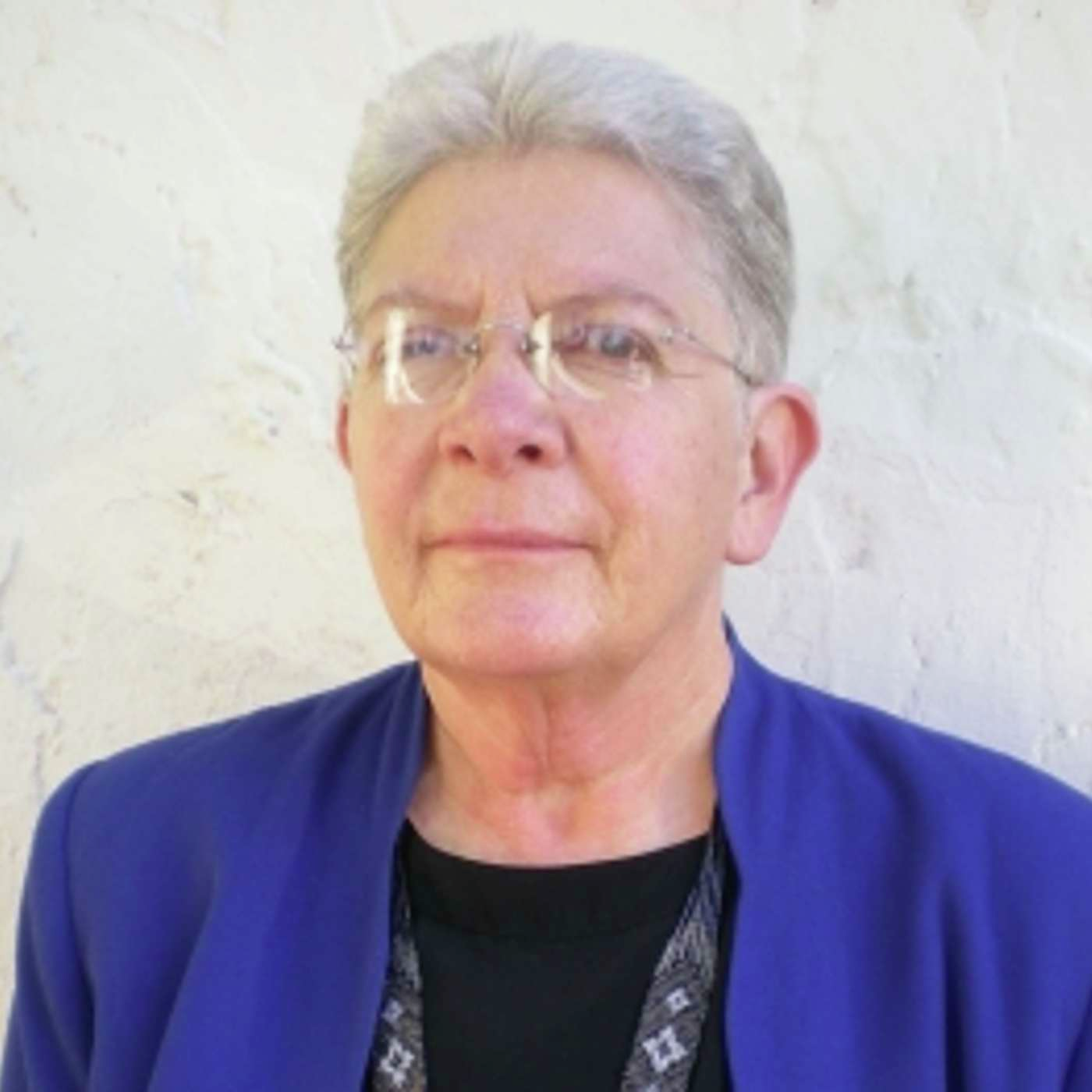 020324 Lawyer/Activist Dianne Post on DEI Suppression, and Reparations (Part 2)