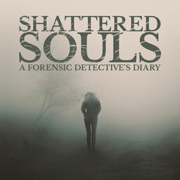 Shattered Souls: Anger