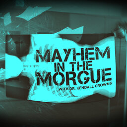 MAYHEM IN THE MORGUE | PET FOOD