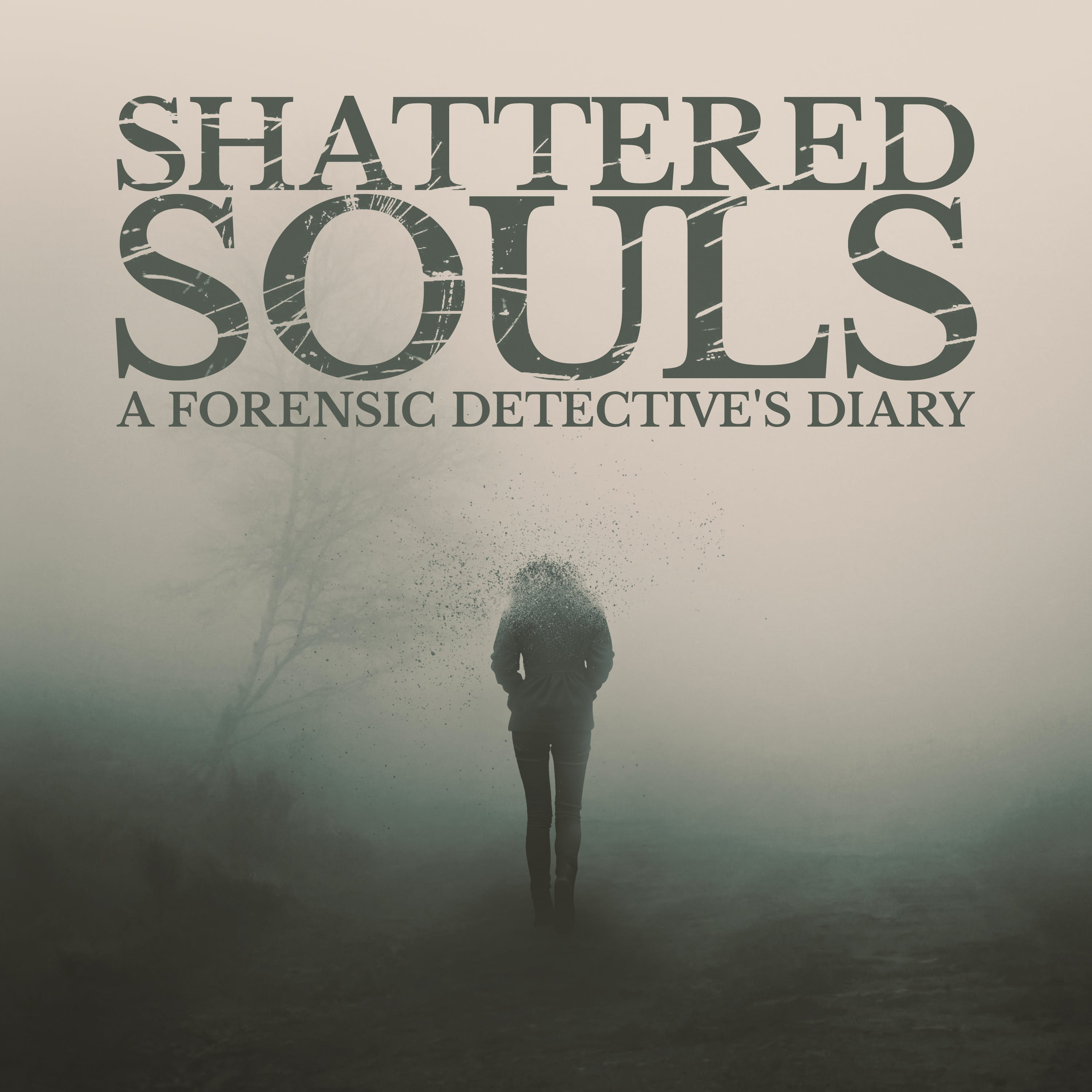Shattered Souls: Stacy Replogle