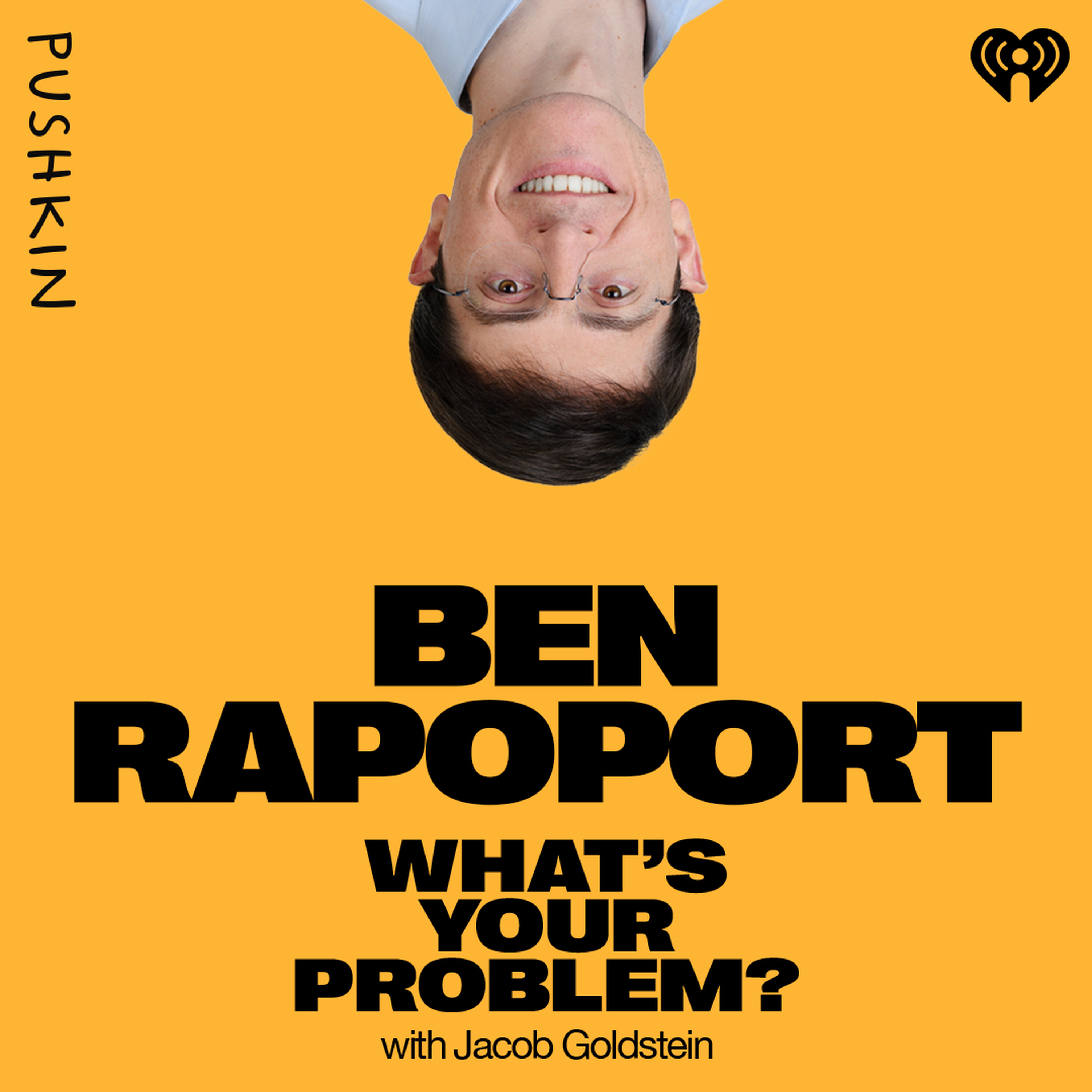 The Brain Implant That Could Change Medicine podcast