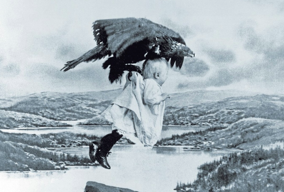 Do Bald Eagles Really Steal Babies?! (And other Eagle Questions... Answered!)