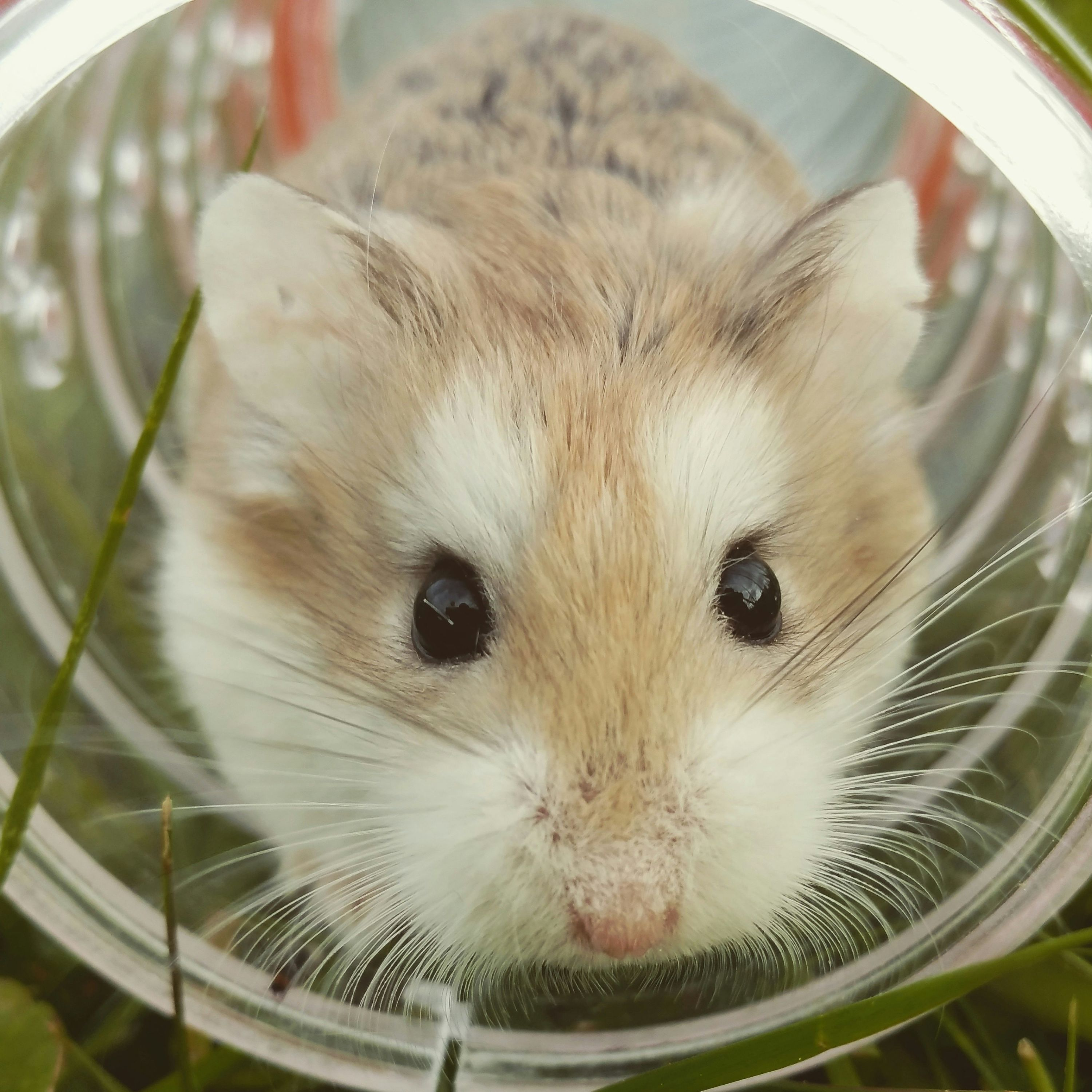 9 Absurd Inventions You (Probably) Won't See on Shark Tank