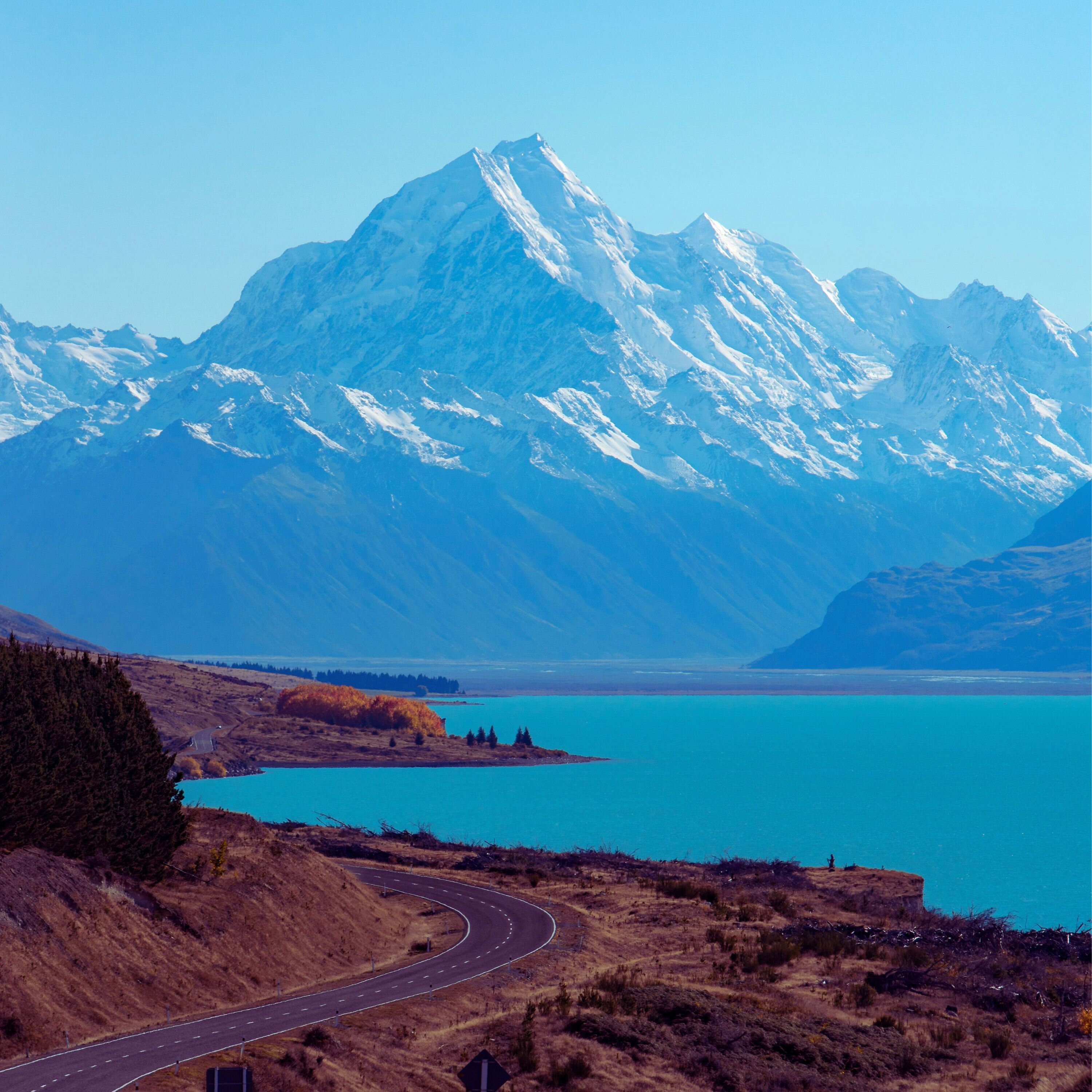 Why Does New Zealand Have an Official Wizard? Why Does New Zealand Have an Official Wizard?