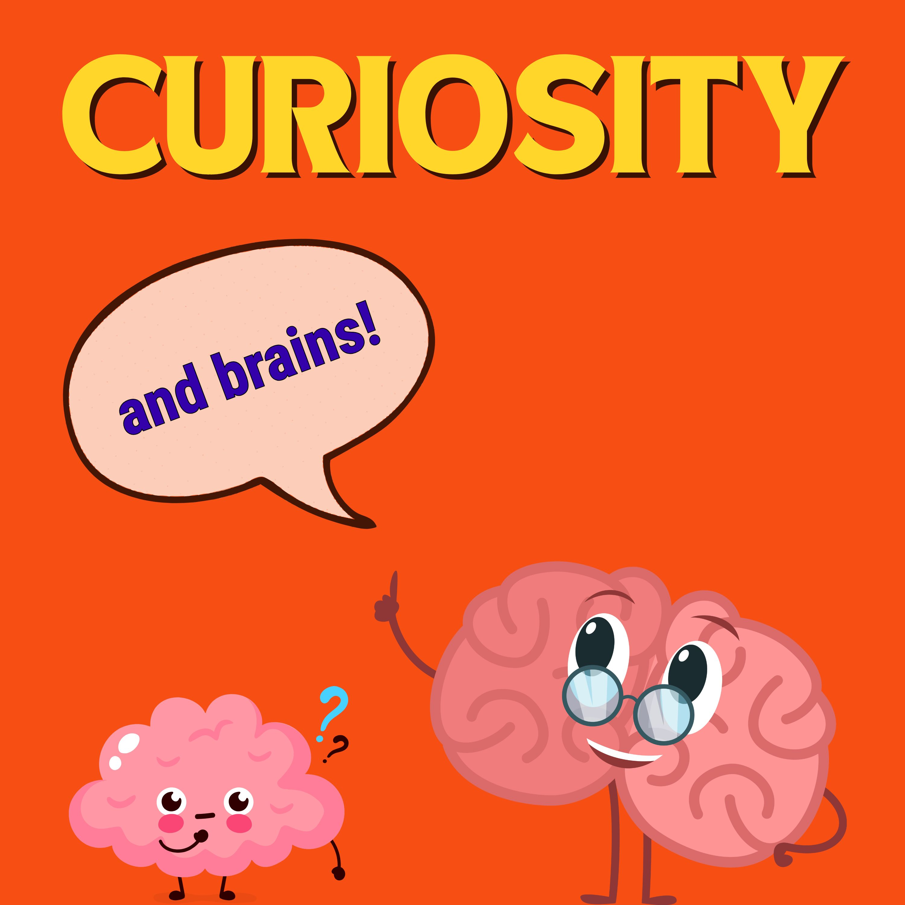 What Does Curiosity Really Do To Our Brains?