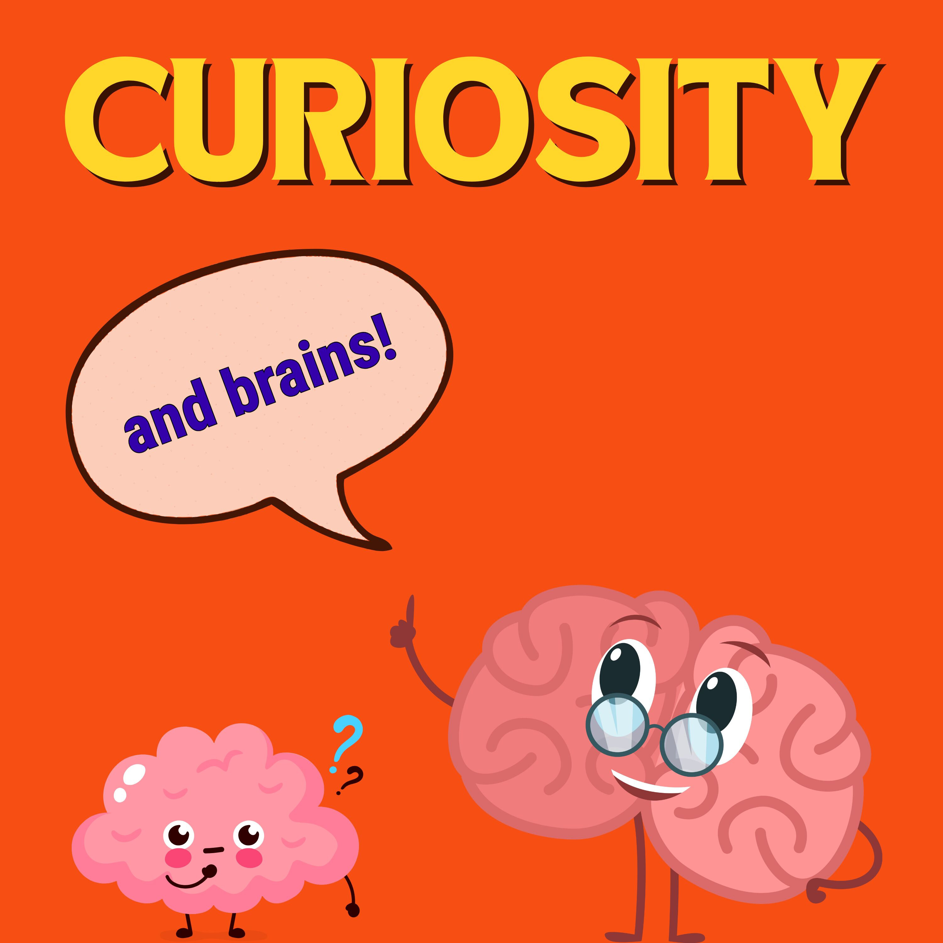 What Does Curiosity Really Do To Our Brains?