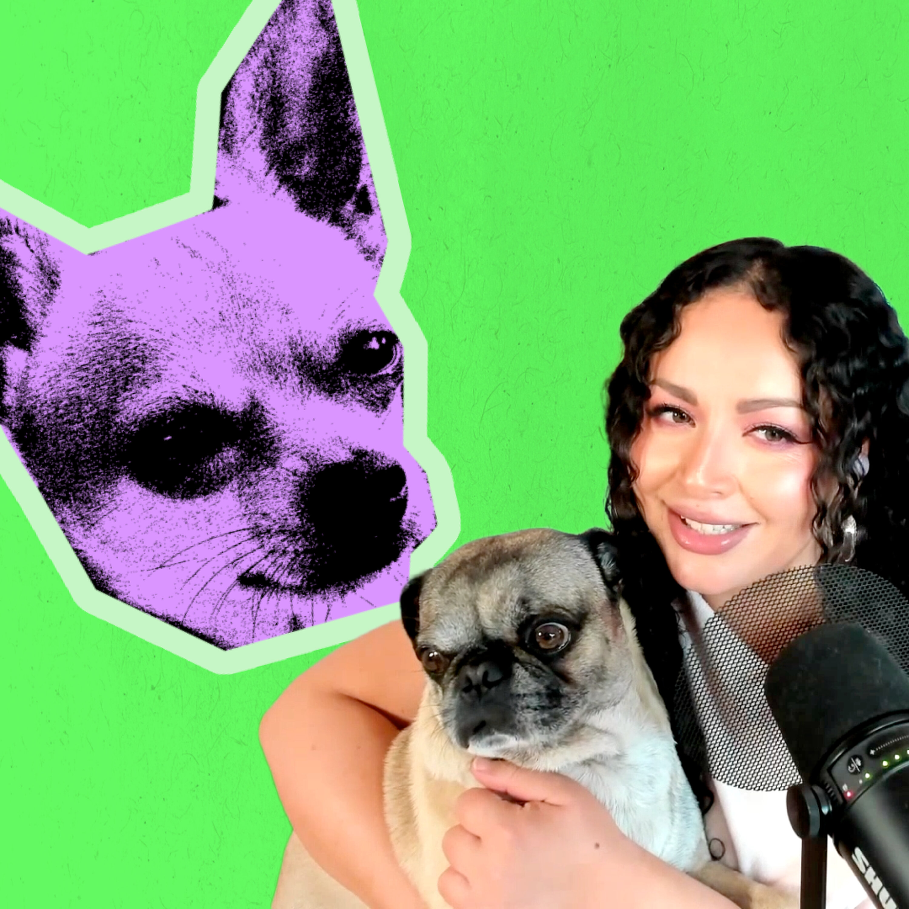 The Meaning of the Magical Chihuahua