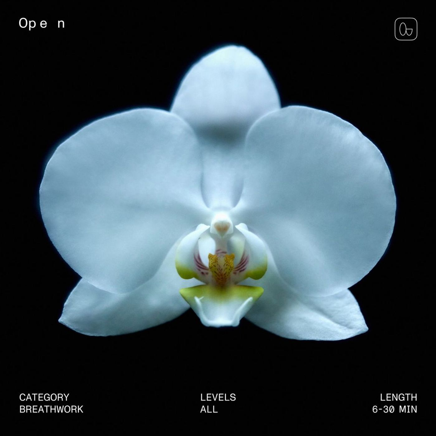 How Open Are You? The 14 Day Challenge...