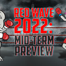 RED WAVE 2022: MID-TERM PREVIEW