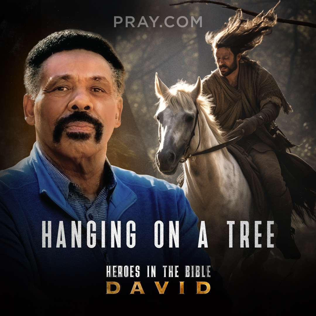 Chapter 27: Hanging on a Tree