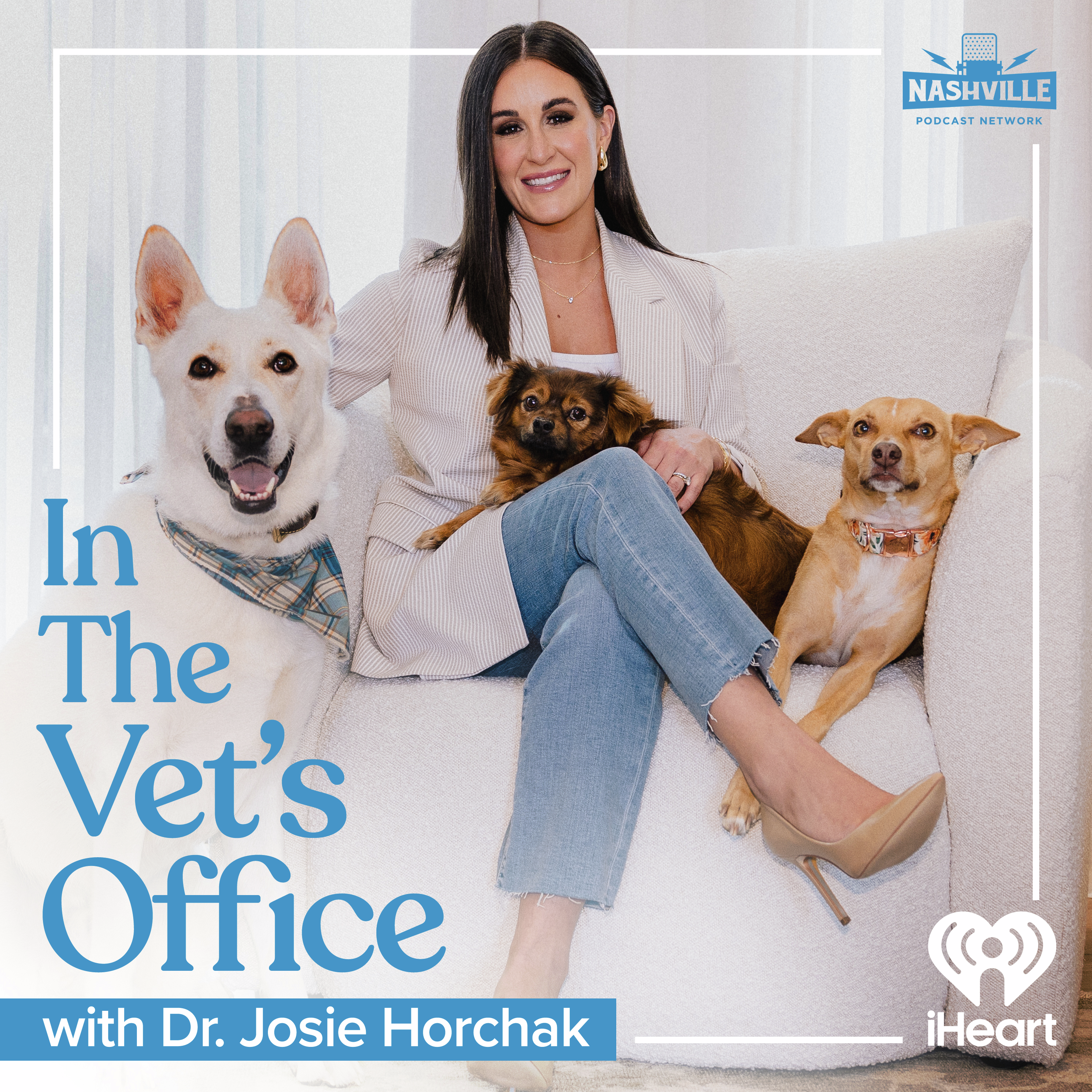 Dog Anxiety Decoded: Expert Tips from Animal Trainer Nikki Varva