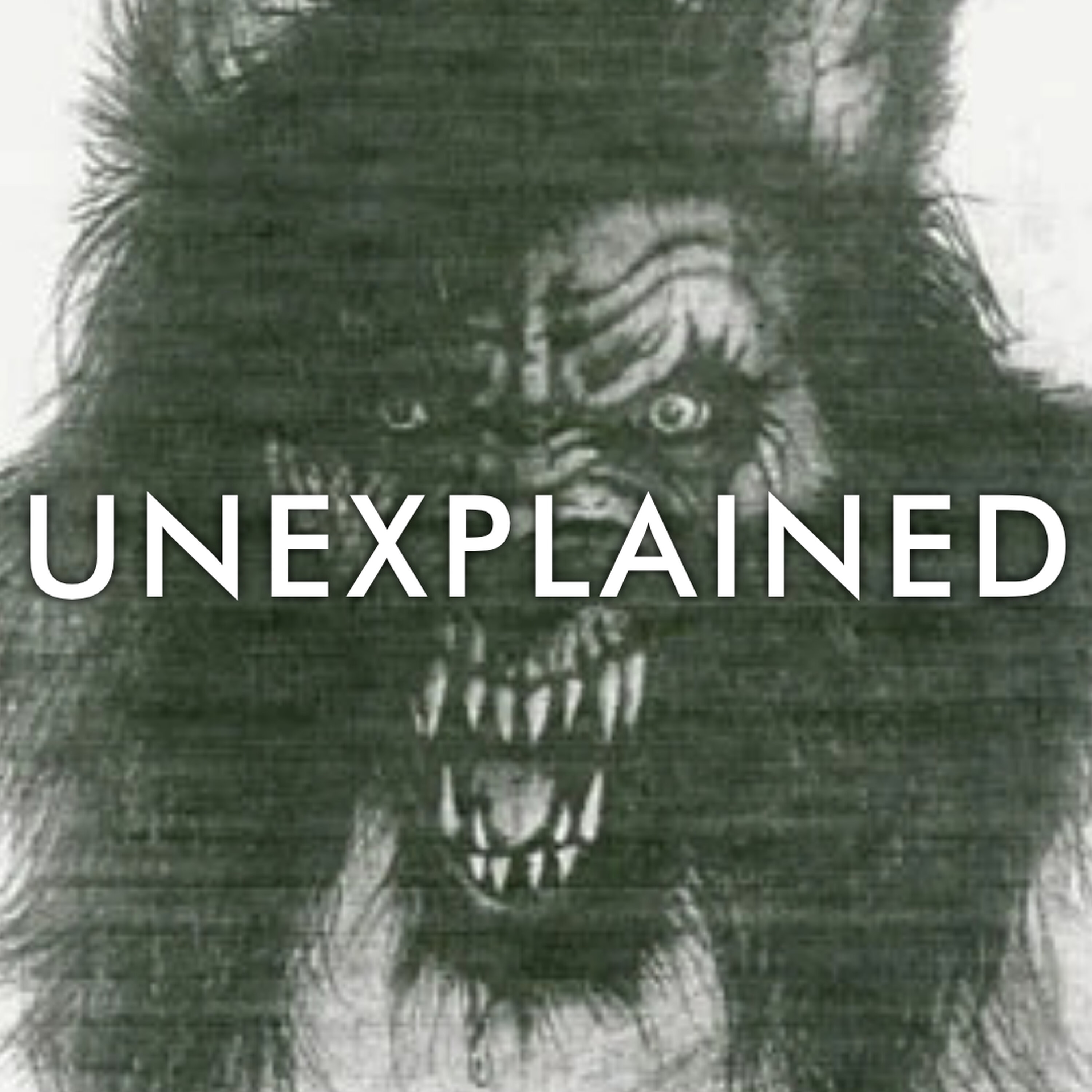 S09E29: The Howling Woods (The Michigan Dogman)