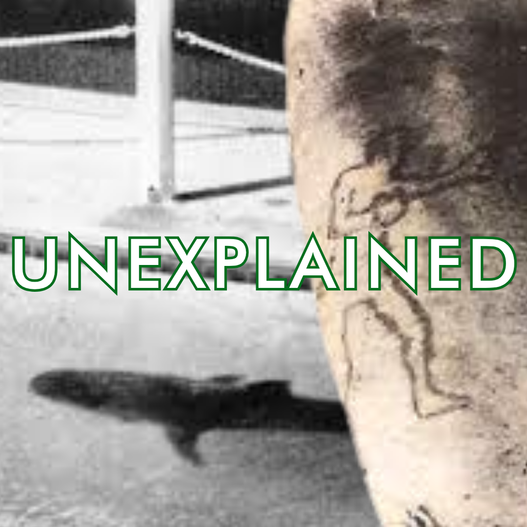 Season 09 Episode 19: Something in the Water