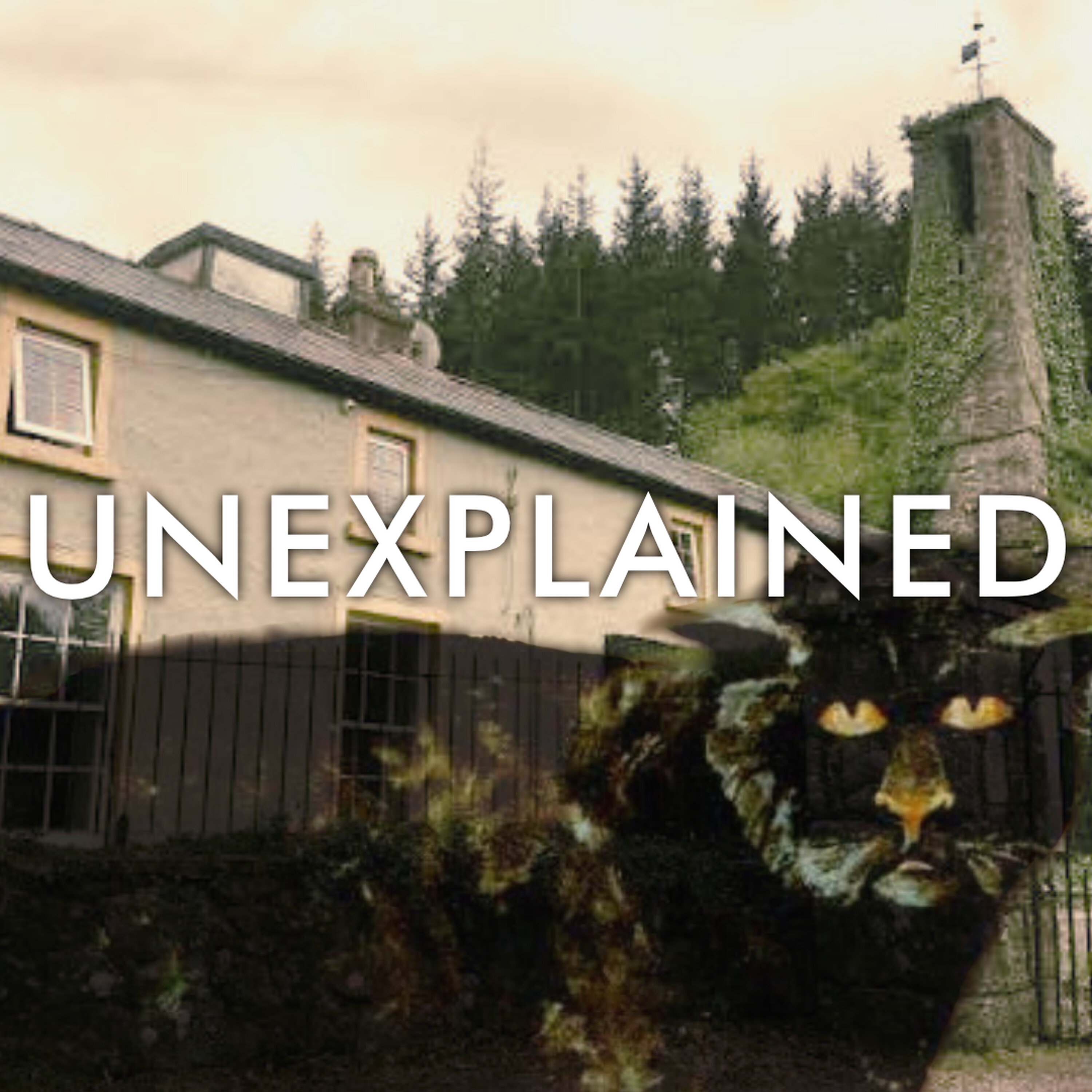 S09E34: Nine Lives (The Satanic Cat of Killakee )