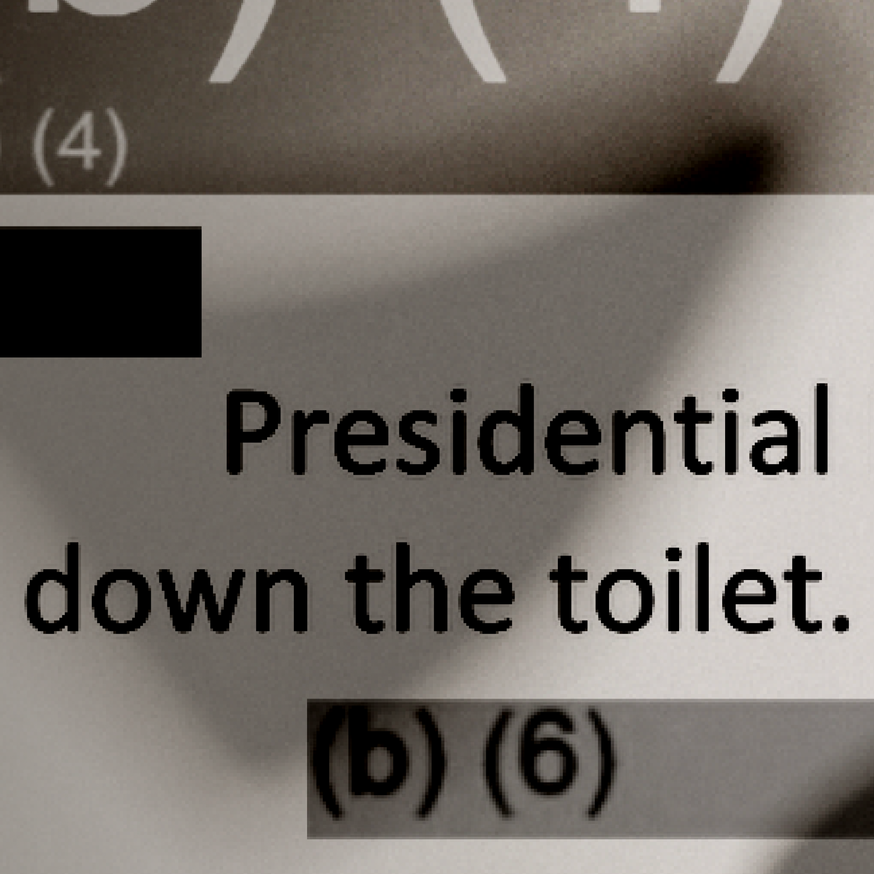 Our Deep Dive for White House Records Starts in the Toilet