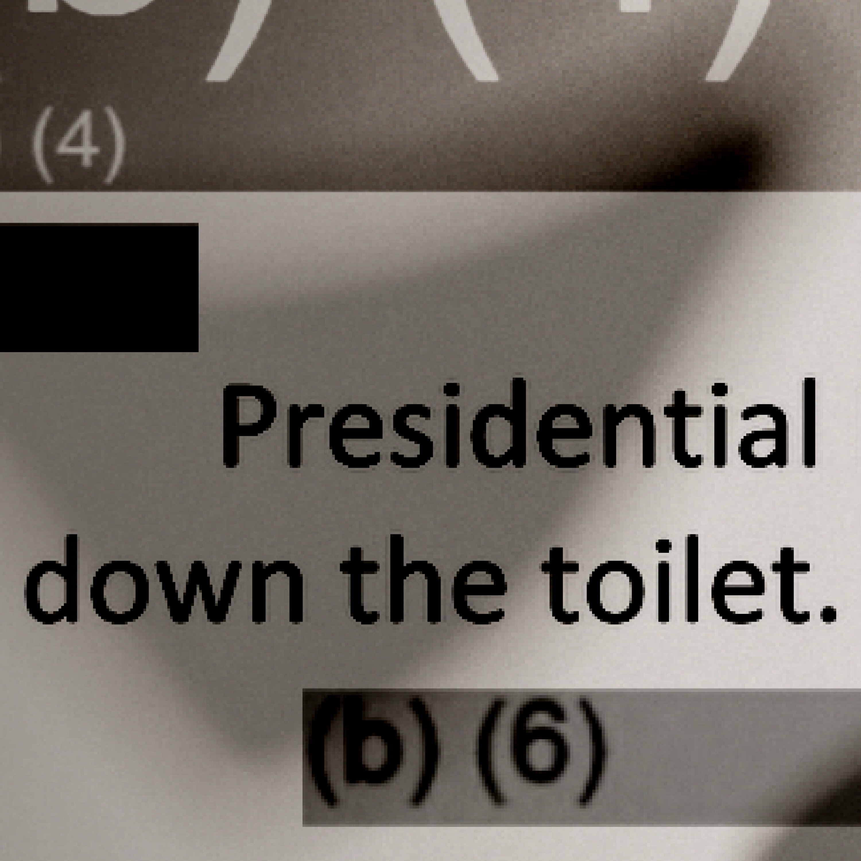 Our Deep Dive for White House Records Starts in the Toilet podcast