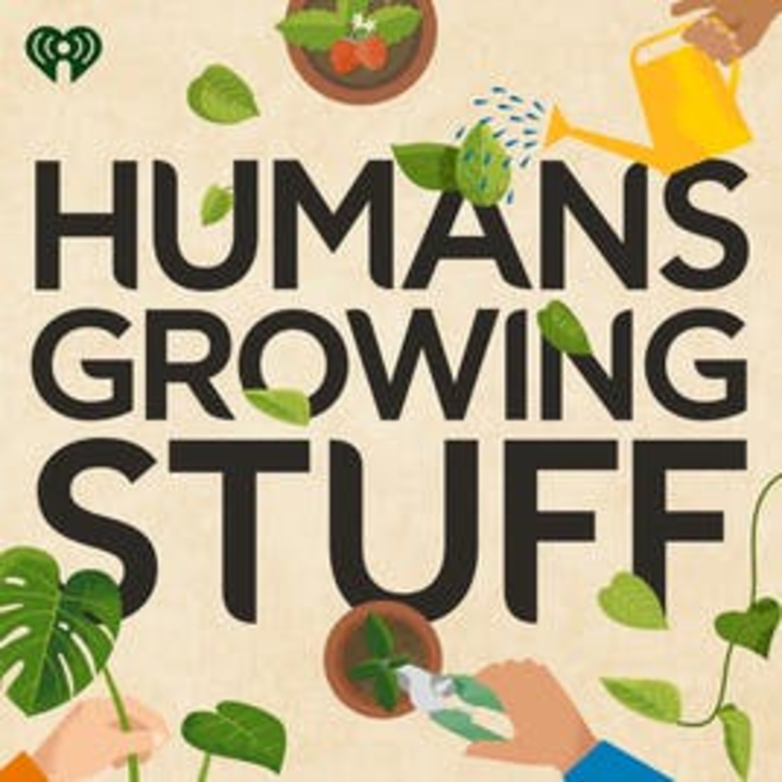 The Mental Health Benefits of Plants episode artwork