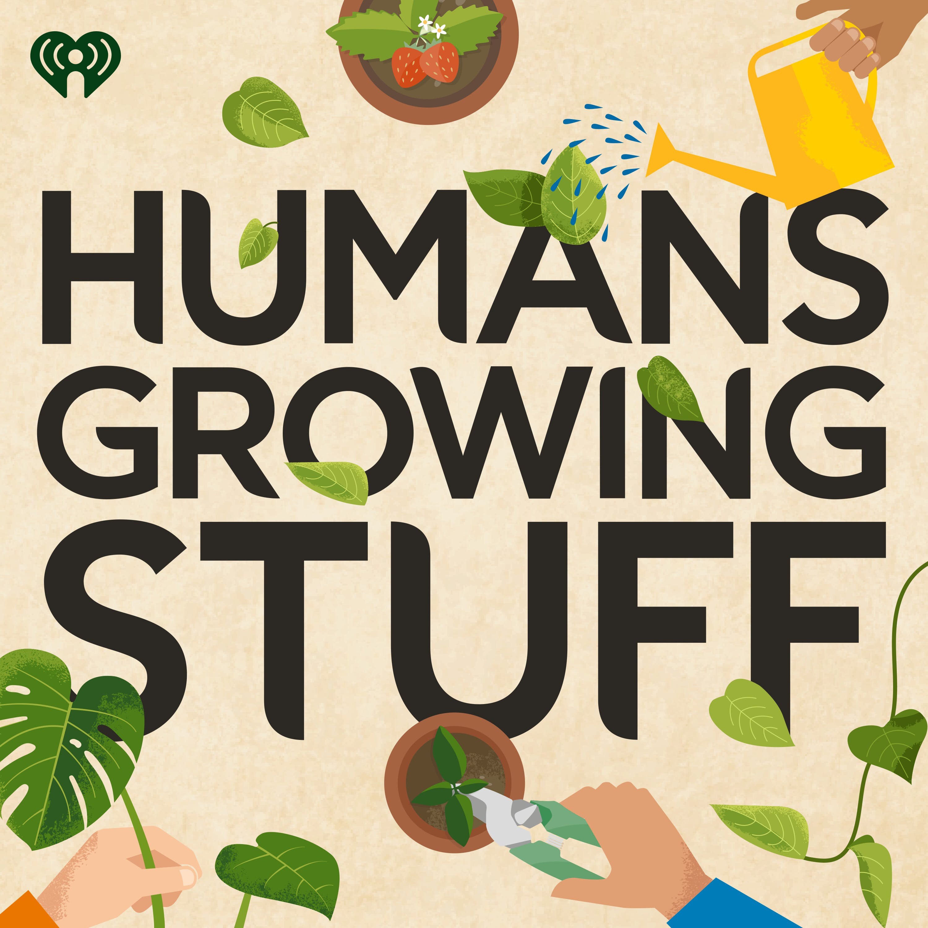 Getting Fiddle Leaf Fit episode artwork