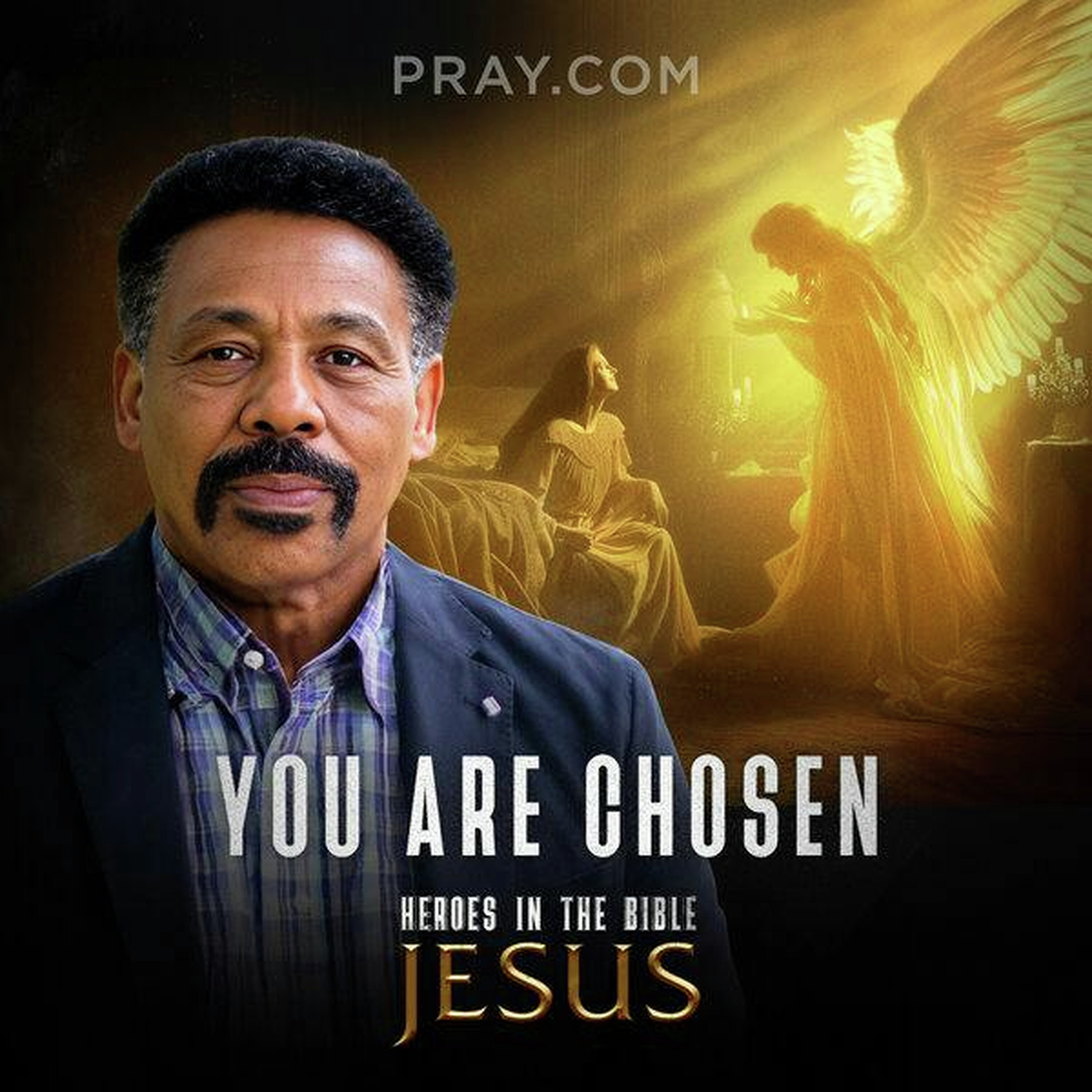 Chapter 2: You Are Chosen