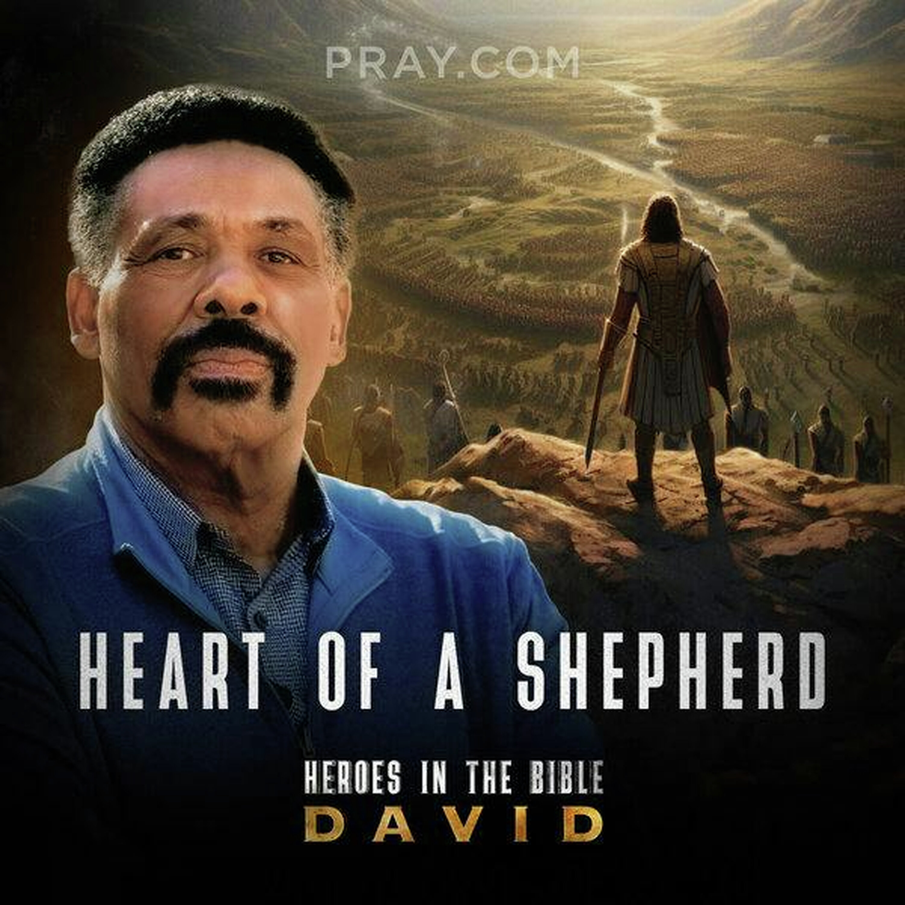 Chapter 16: Heart of a Shepherd