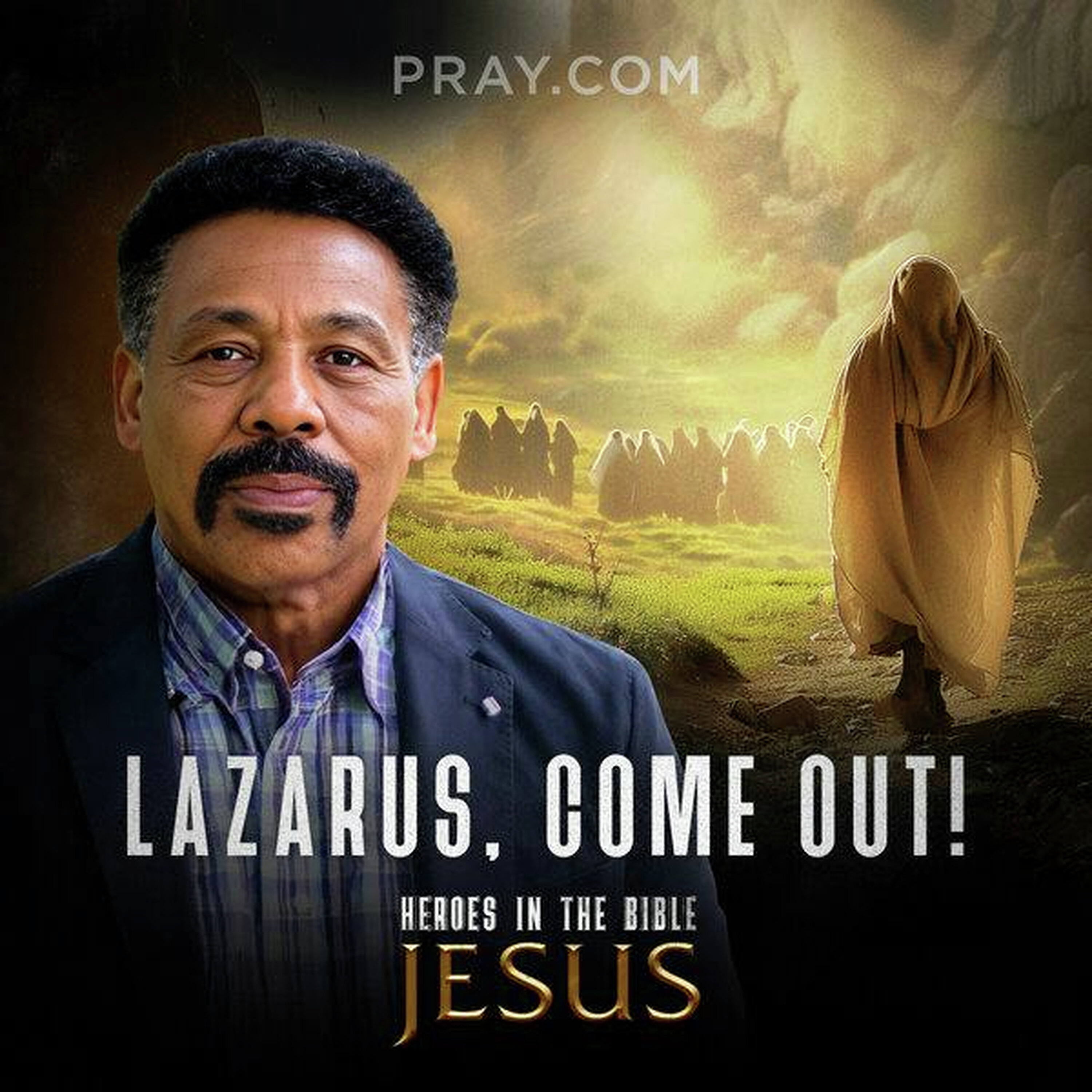 Chapter 13: Lazarus, Come Out!