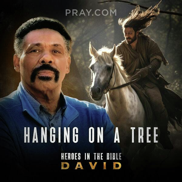 Chapter 27: Hanging on a Tree