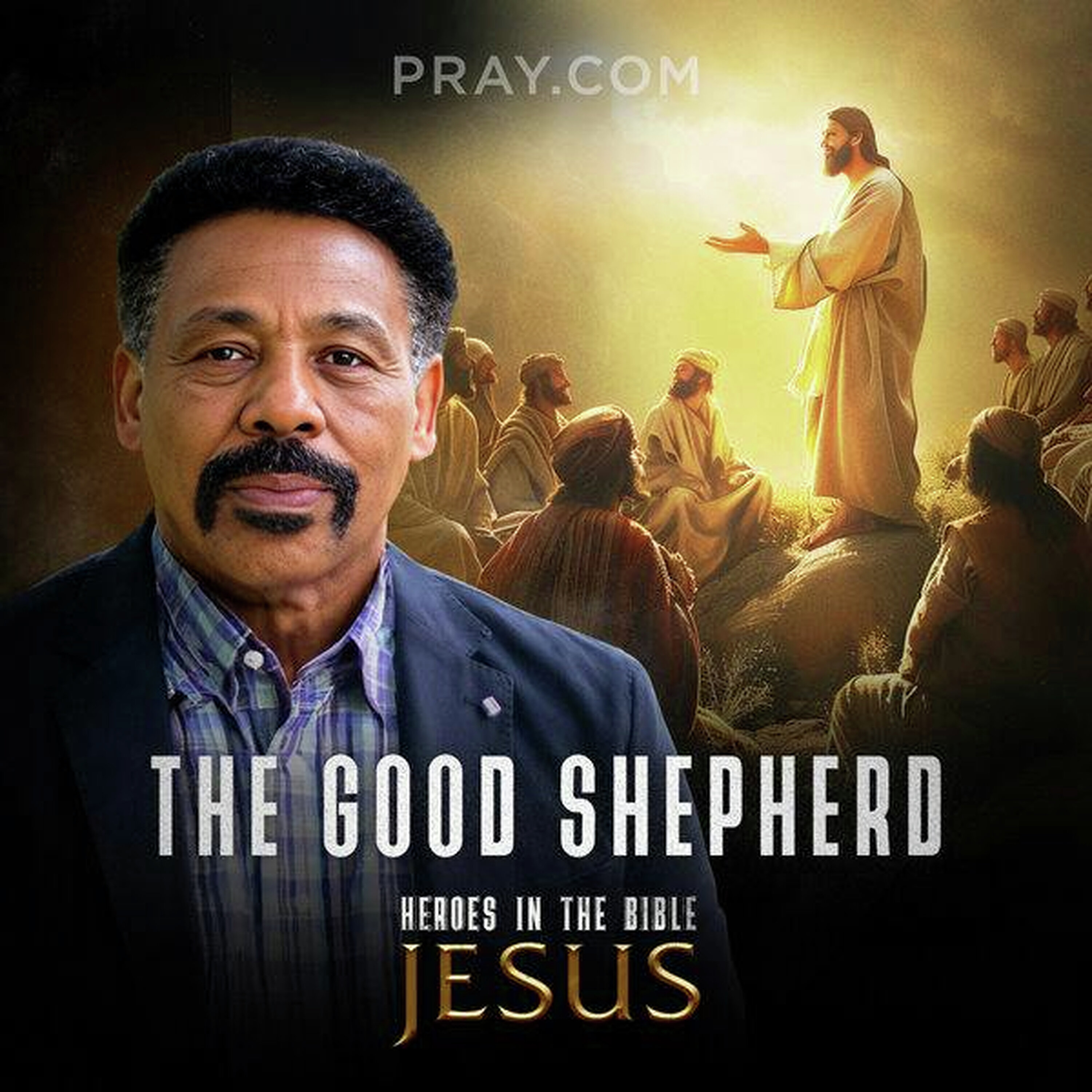 Chapter 12: The Good Shepherd