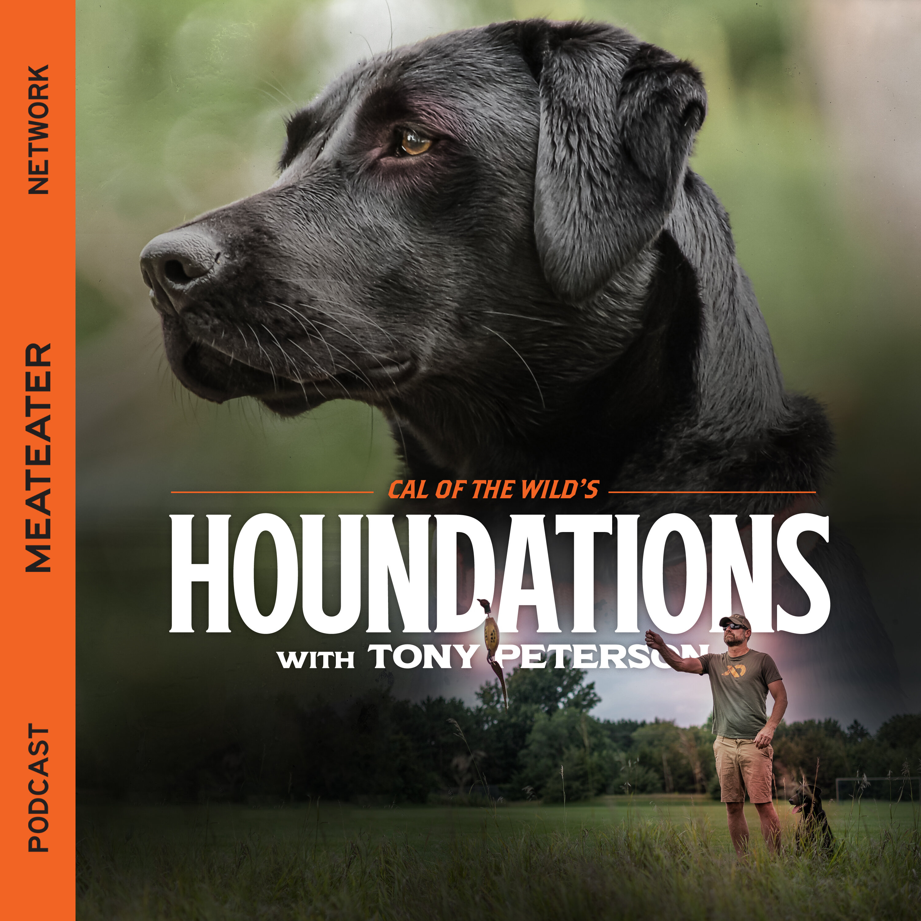 Ep. 339: Houndations - The Benefits of Not-So-Serious Dog Training Ep. 339: Houndations - The Benefits of Not-So-Serious Dog Training