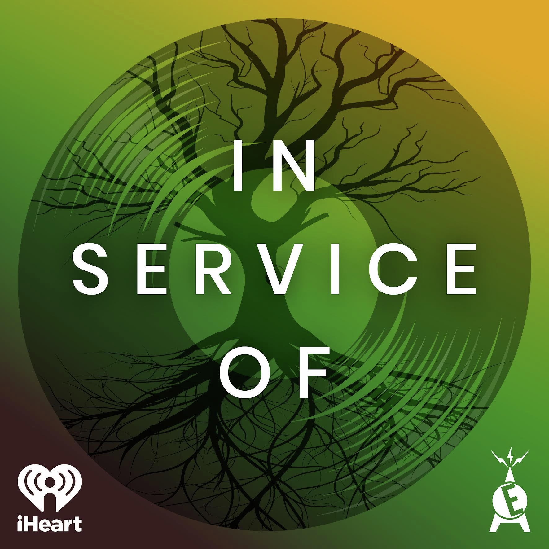 Tom Morello episode artwork