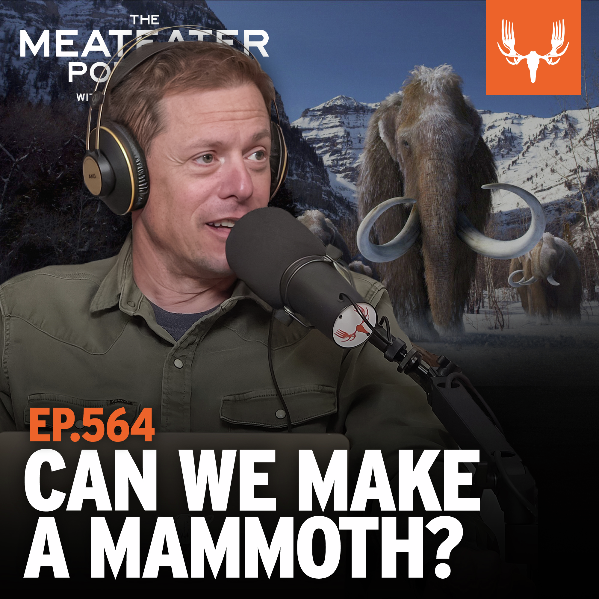 Ep. 564: De-extinction: Can We Make a Mammoth, and Why Should We?