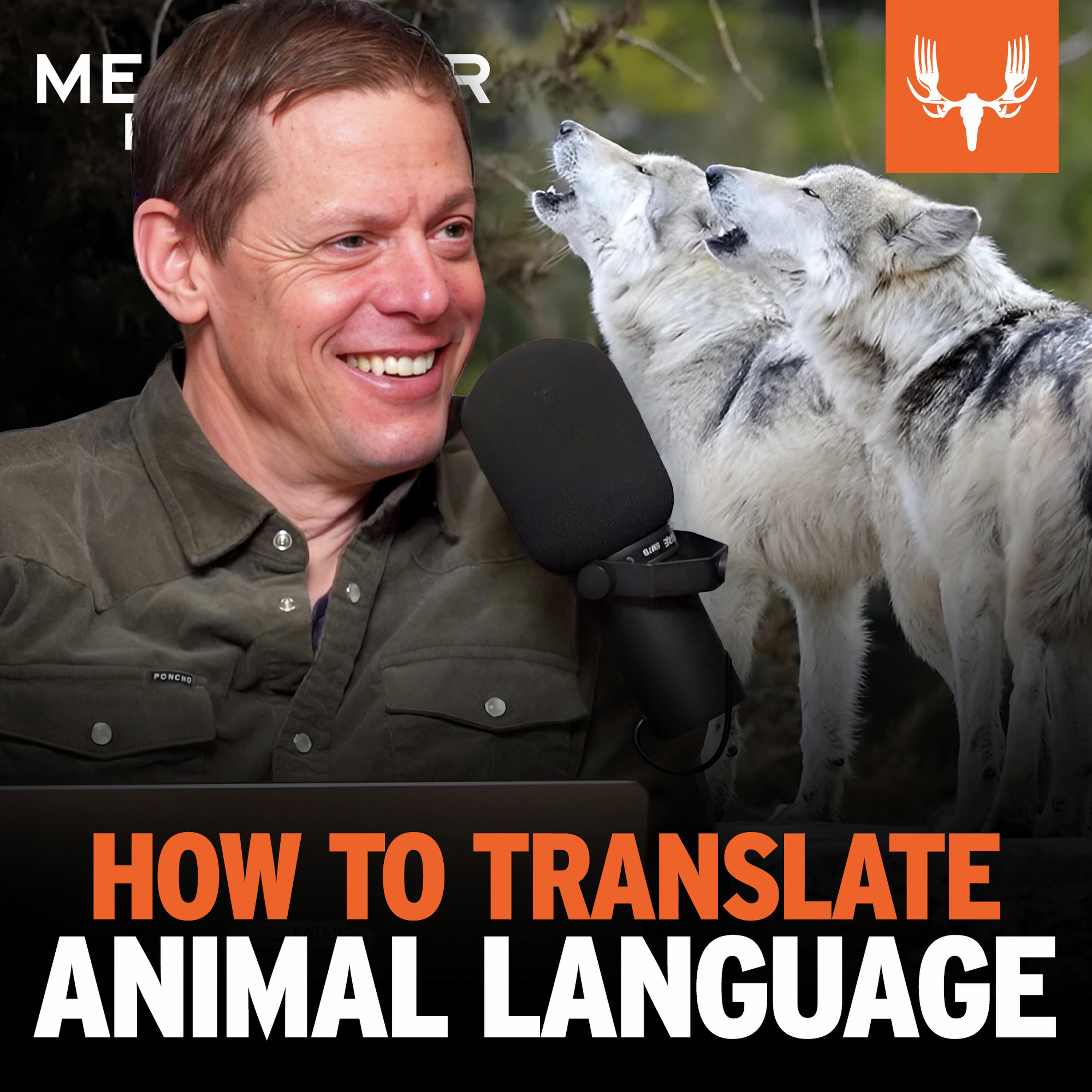 Ep. 838: How To Translate Animal Language