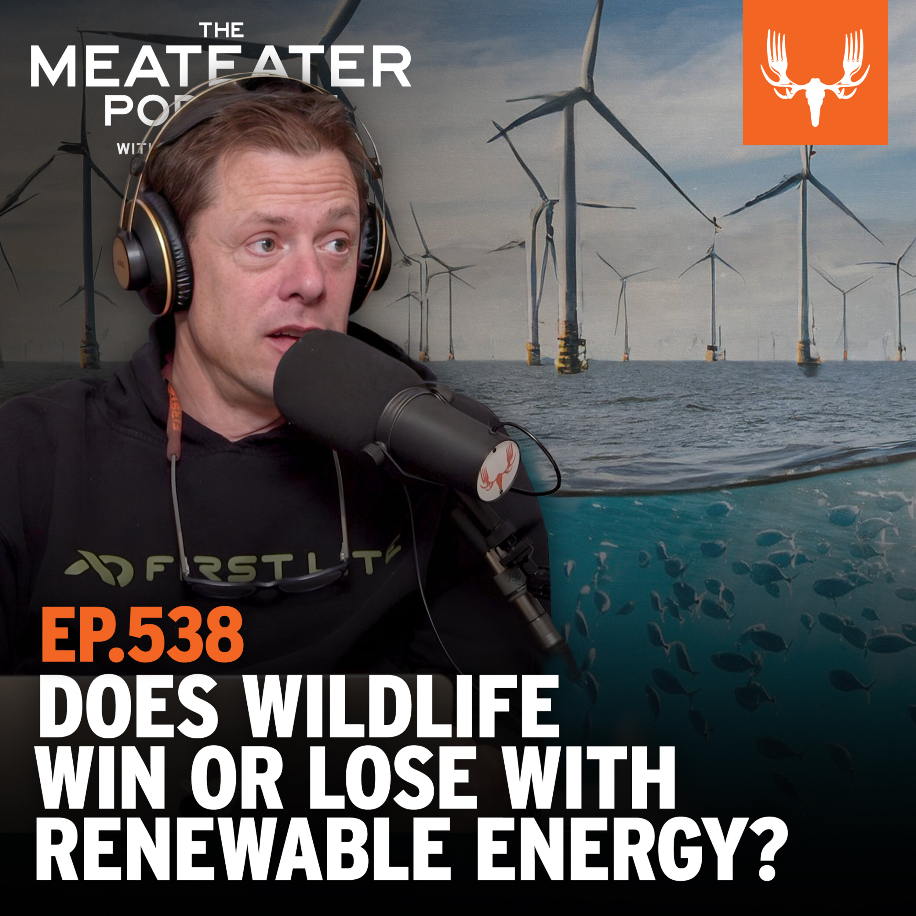 Ep. 538: Does Wildlife Win or Lose With Renewable Energy?