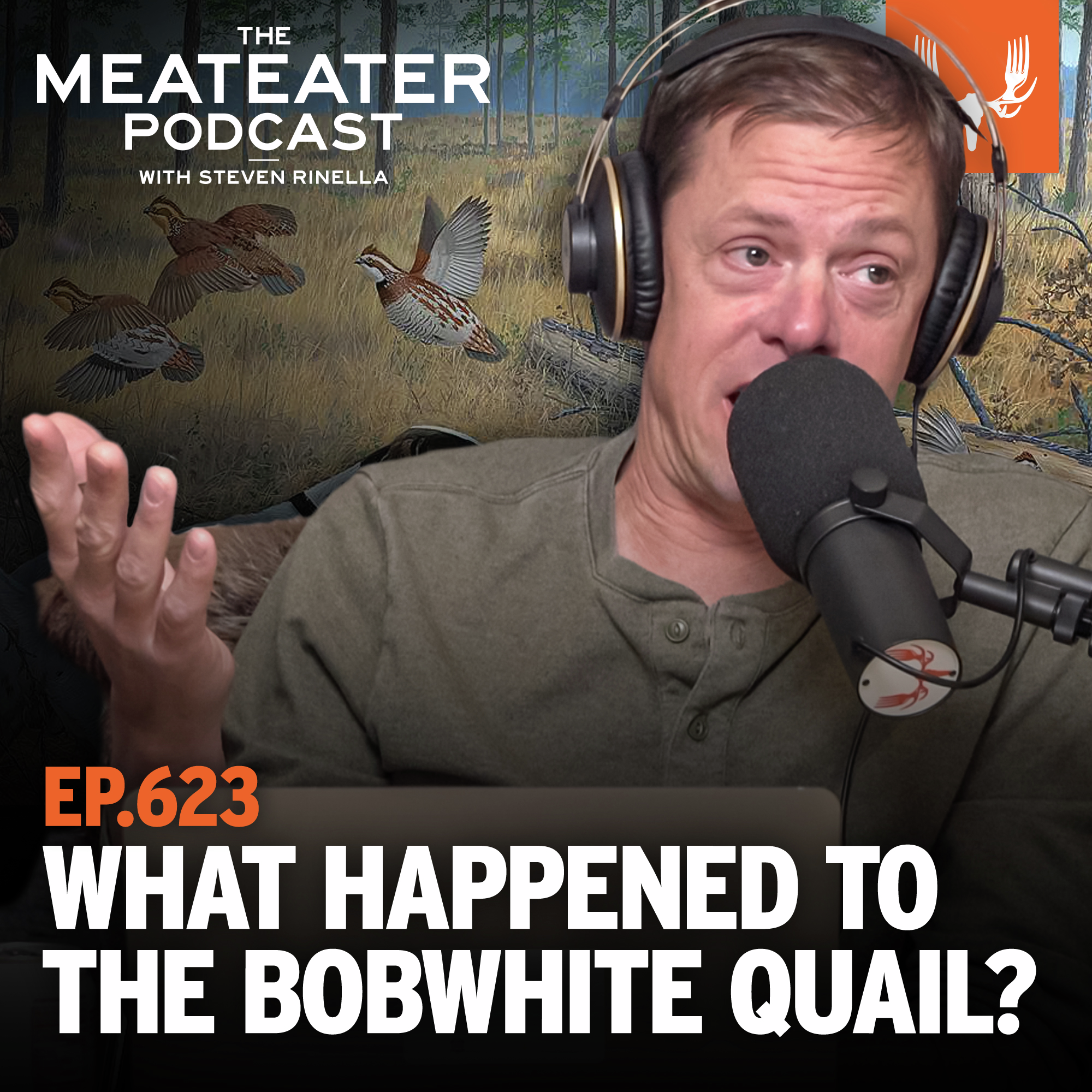 Ep. 623: What Happened to the Bobwhite Quail?