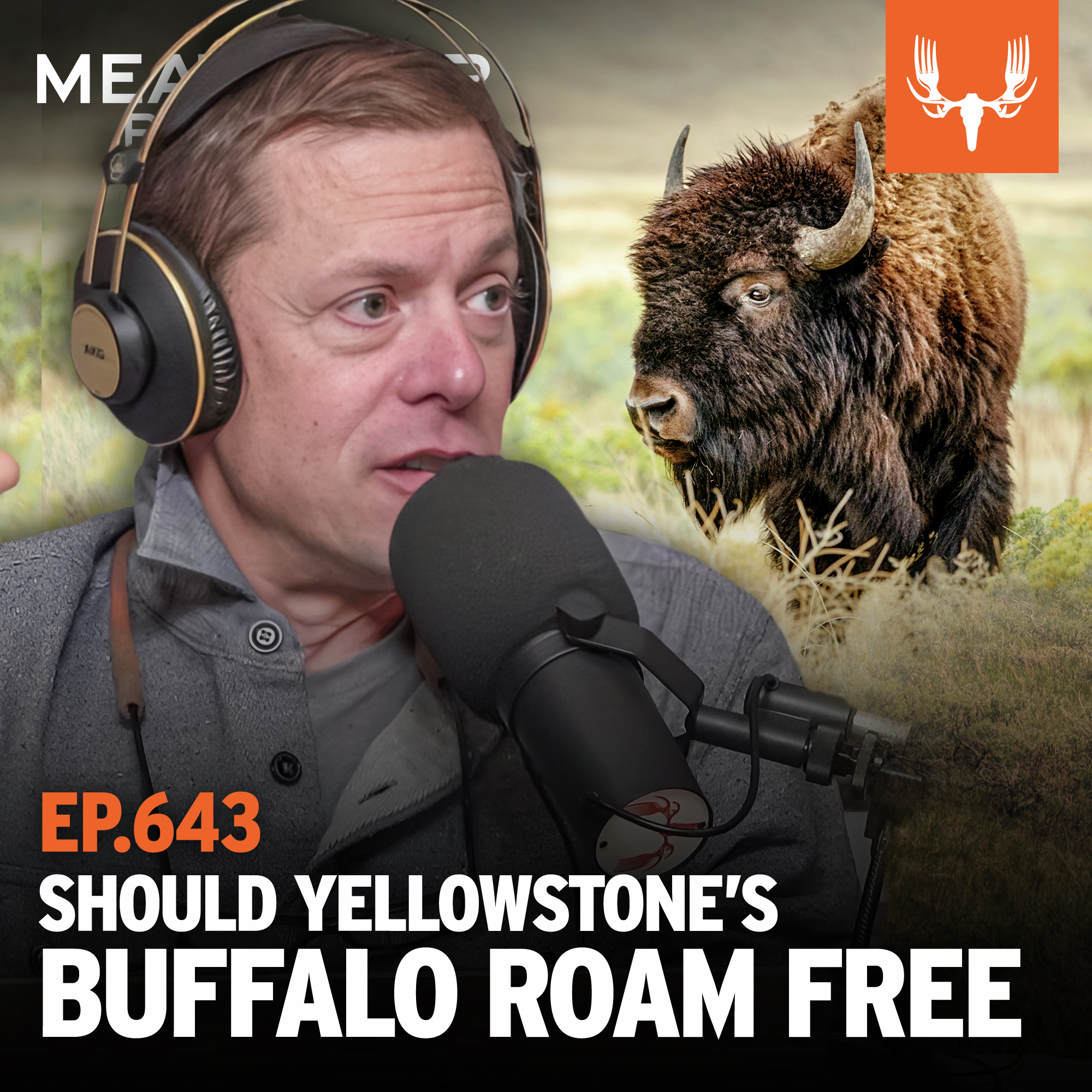 Ep. 643: Should Yellowstone's Buffalo Roam Free?