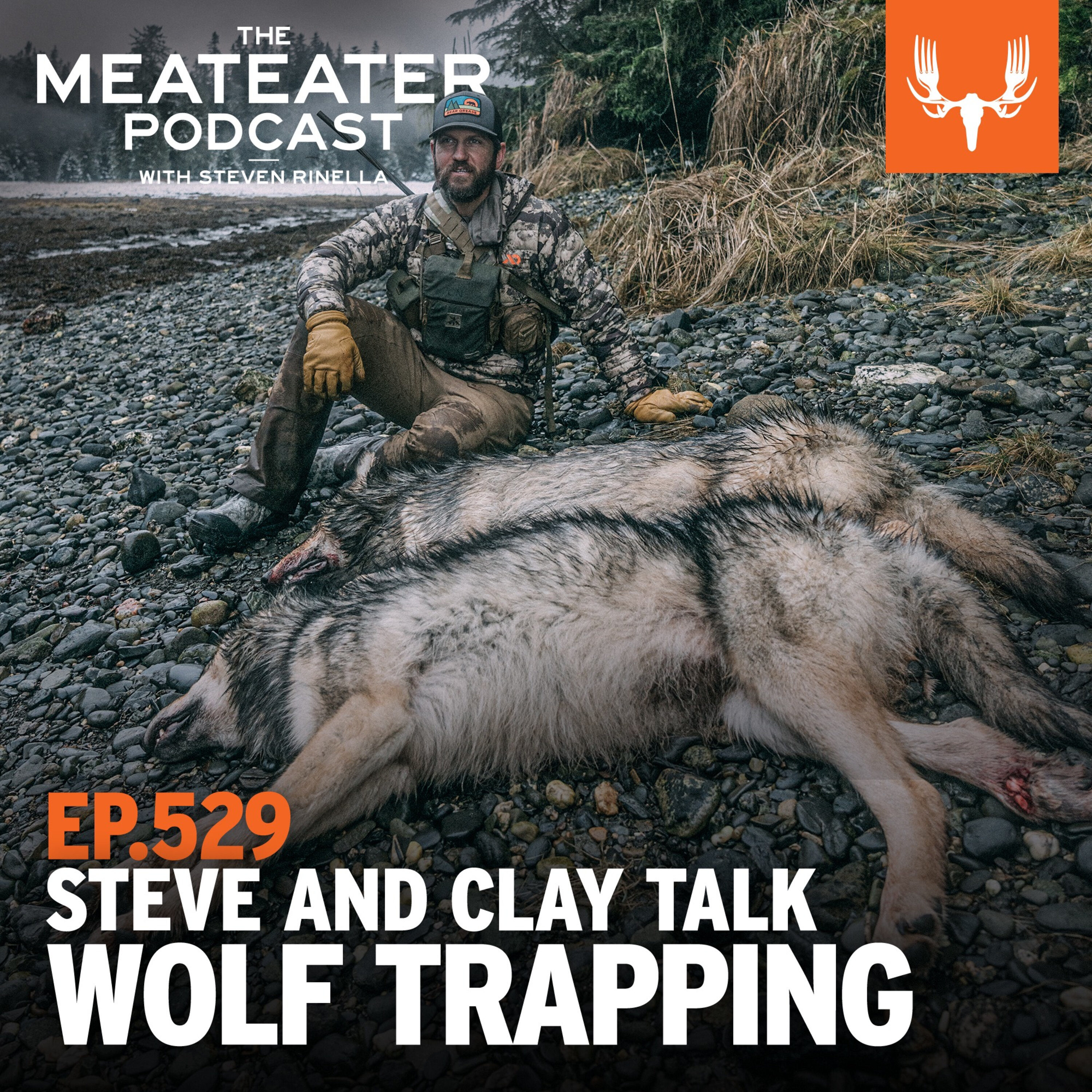 Ep: 529: BONUS DROP - Steve and Clay Talk Alaska Wolf Trapping