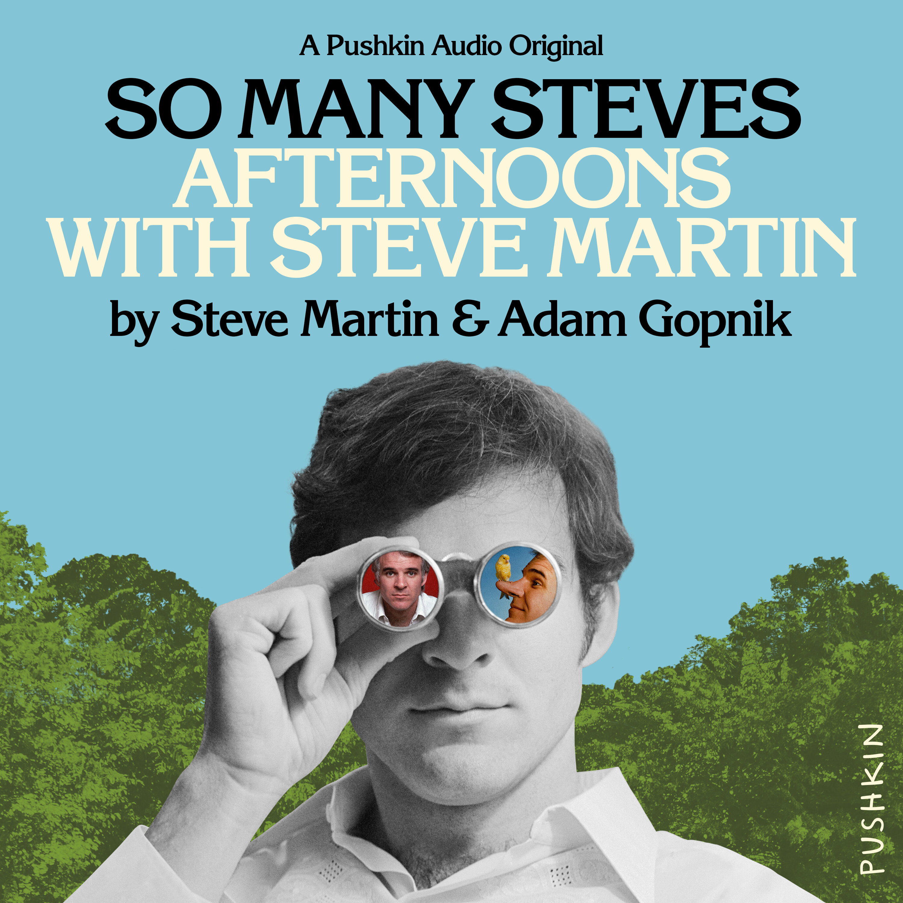 Introducing So Many Steves: Afternoons with Steve Martin