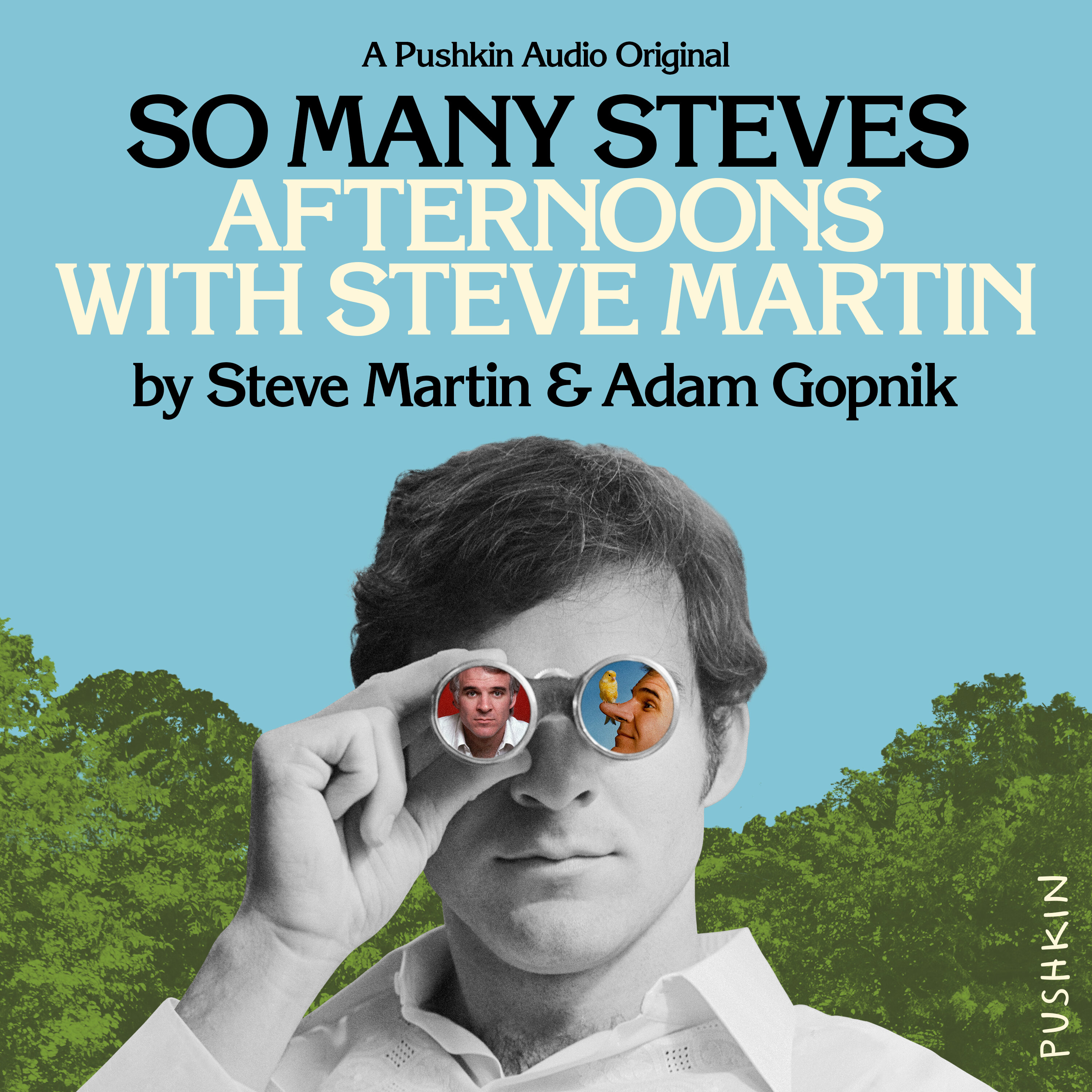 Introducing So Many Steves Afternoons with Steve Martin by Talk Easy