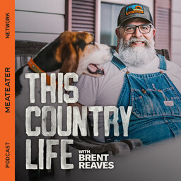 Ep. 179: THIS COUNTRY LIFE - Dogs, Hogs, and Submarines