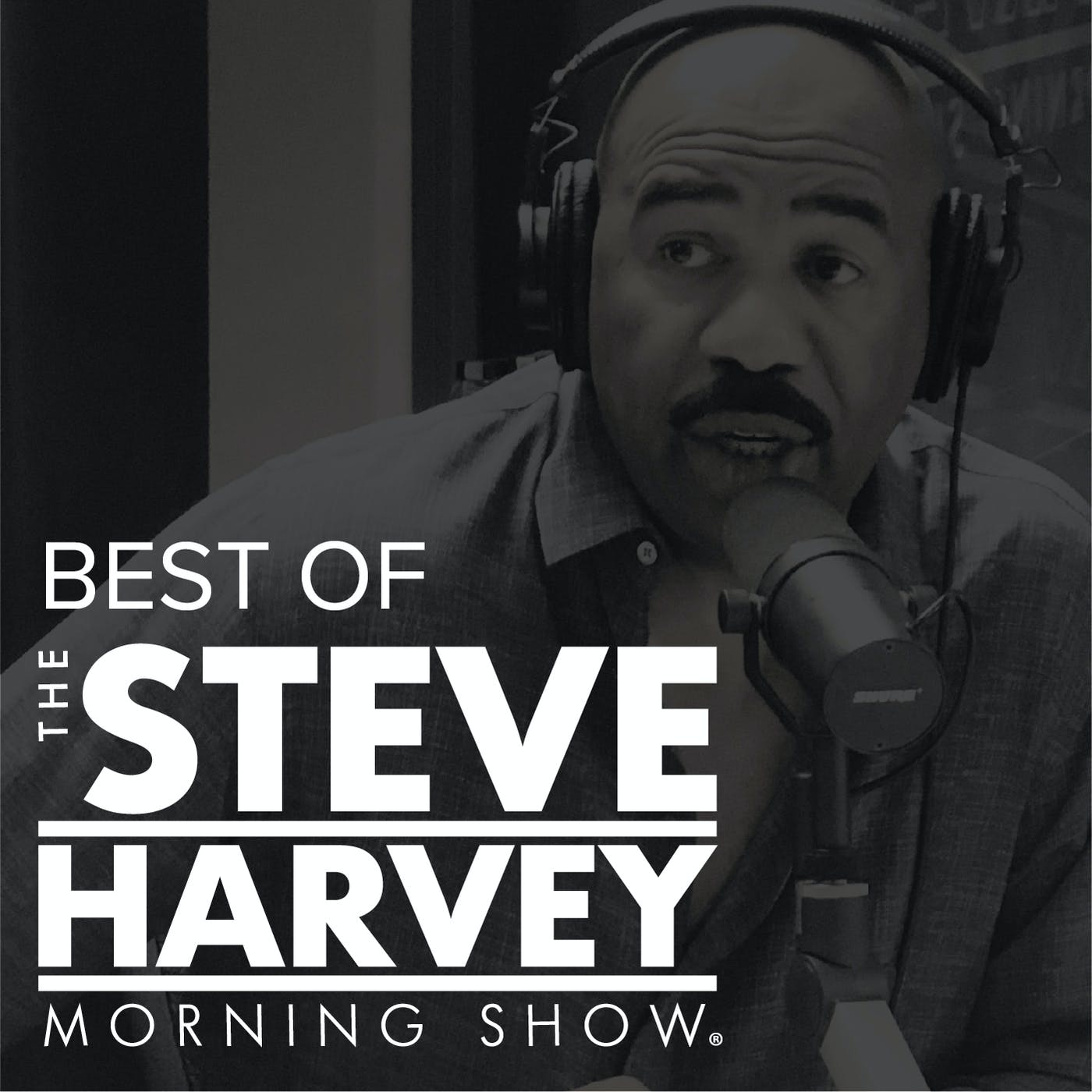 Latrine/Karen/Porn/Are You Packing? - Best of The Steve Harvey ...