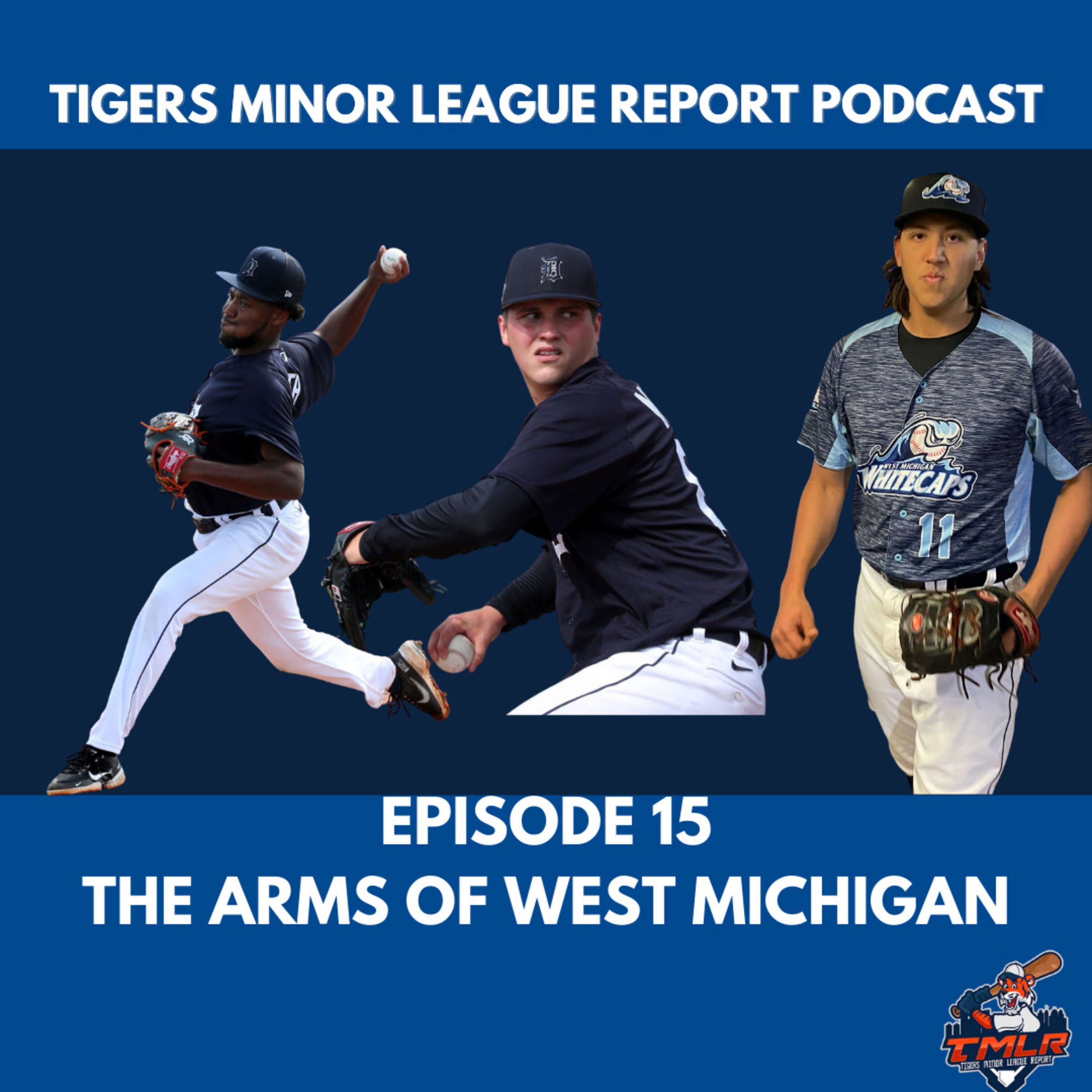 Tigers Minor League Report Week 3 recap episode artwork