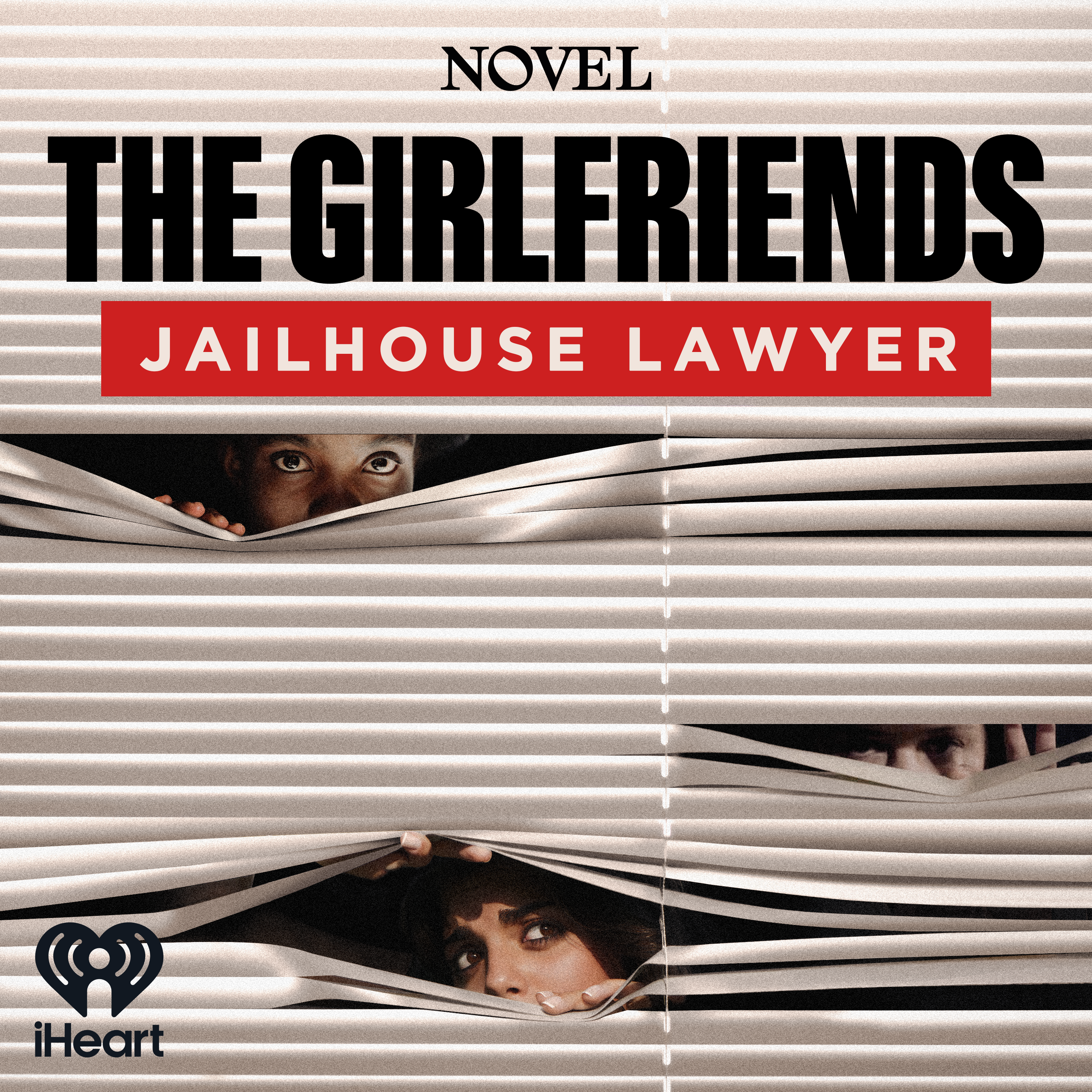 Introducing: The Girlfriends: Jailhouse Lawyer