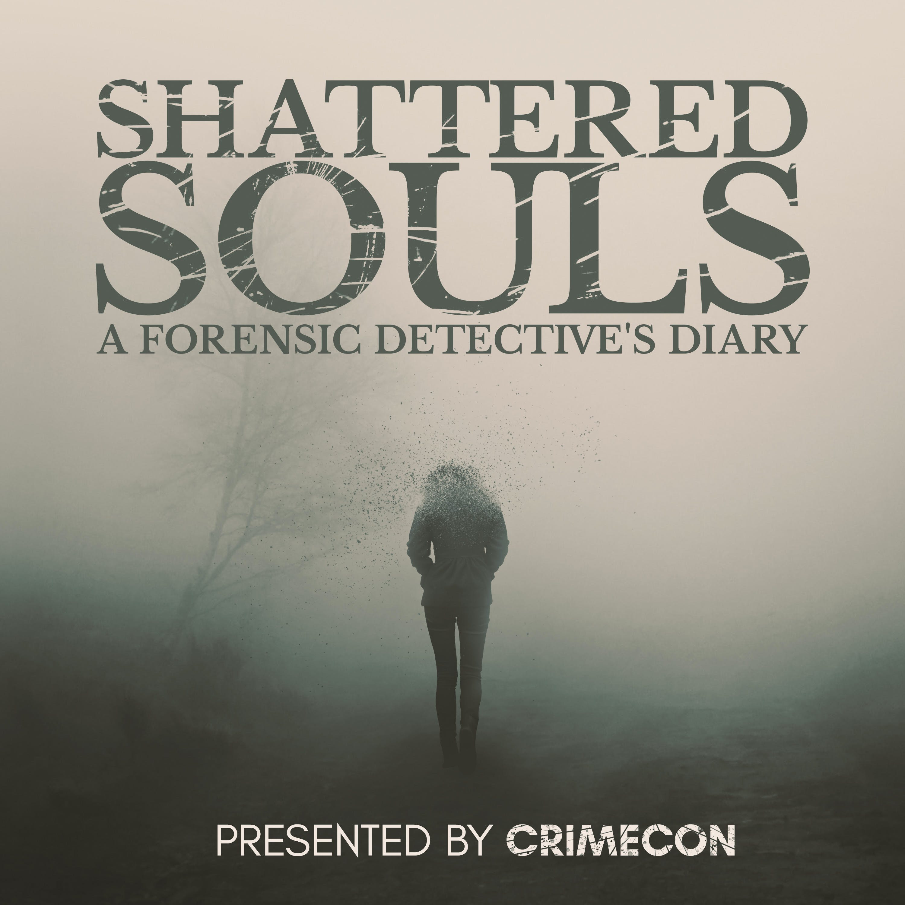 Shattered Souls: Kim Dorsey