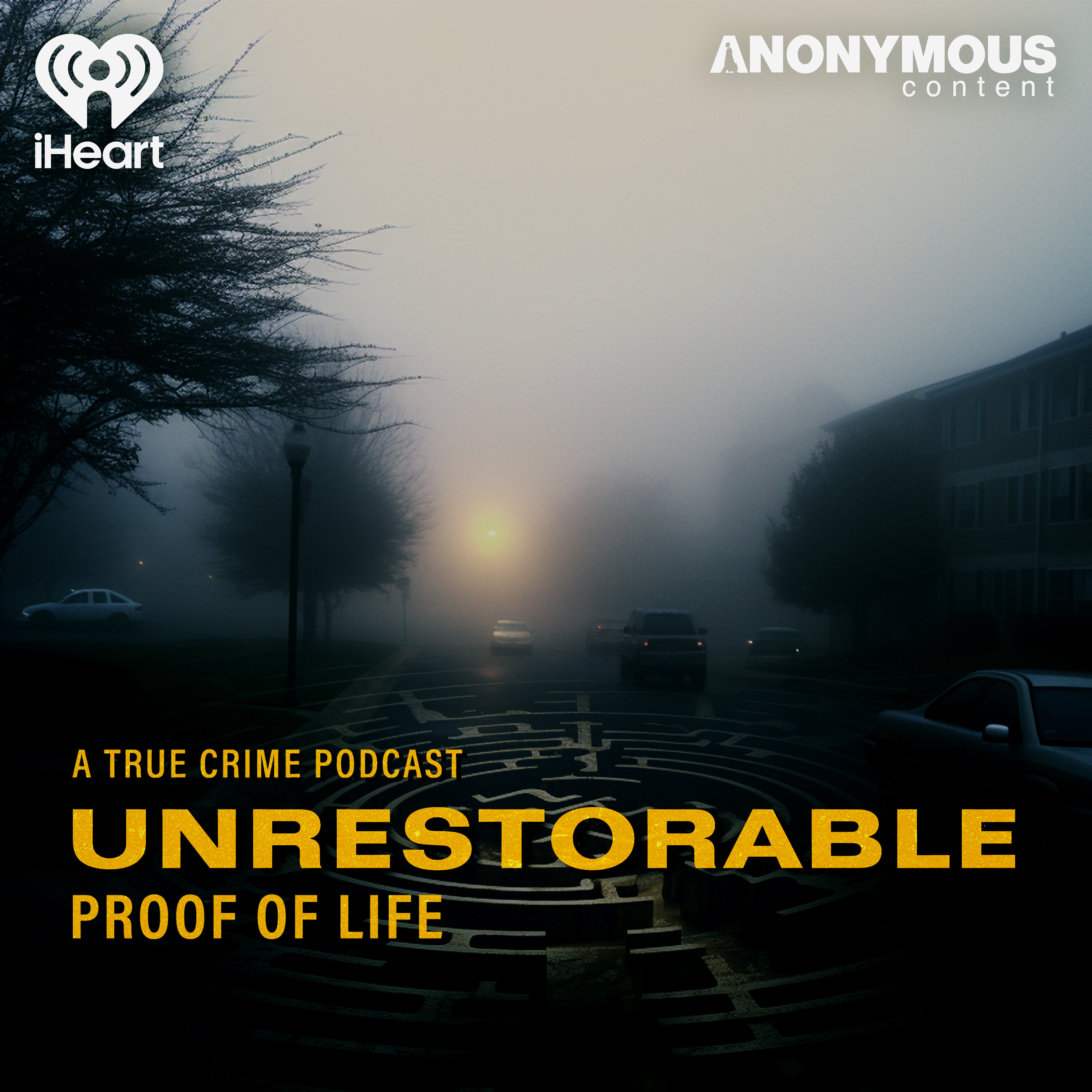Introducing... Unrestorable Season 2: Proof of Life episode artwork
