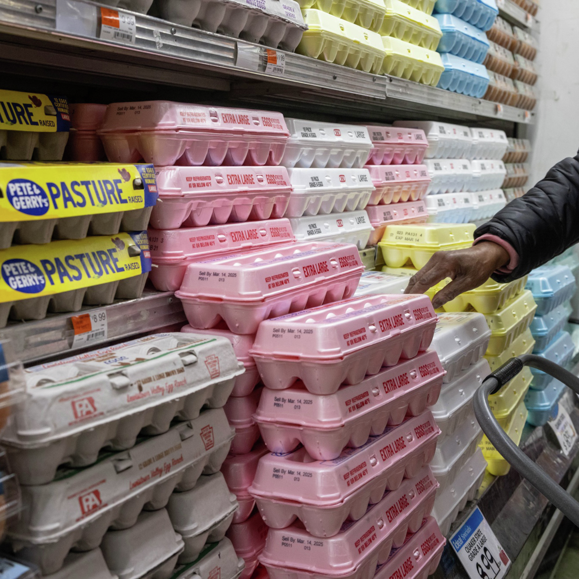Why Eggs Are So Expensive Right Now