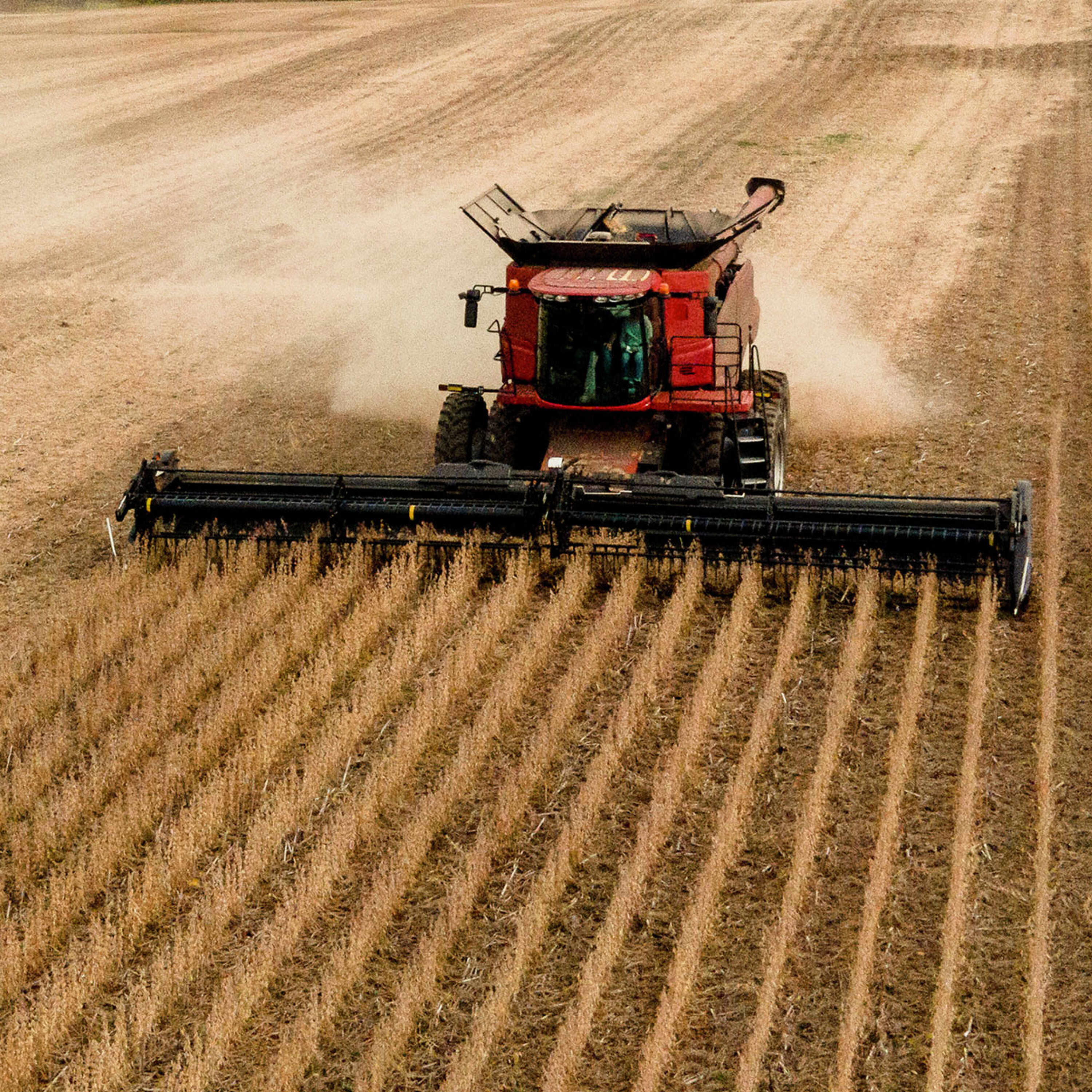 A Fifth-Generation Farmer on Trump’s $12B Bailout A Fifth-Generation Farmer on Trump’s $12B Bailout