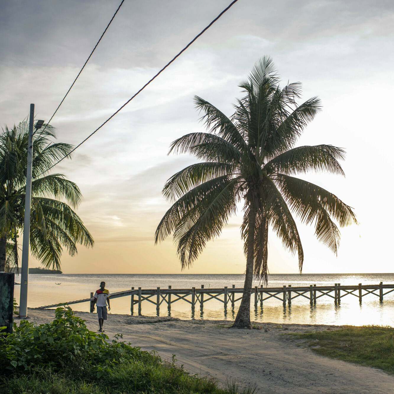 How a Libertarian Island Experiment Became an $11 Billion Nightmare