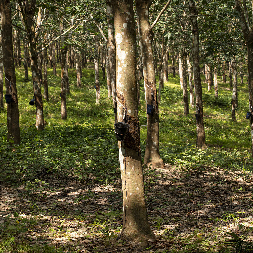 A Rubber Company Supplying Top Tiremakers Faces Troubling Accusations