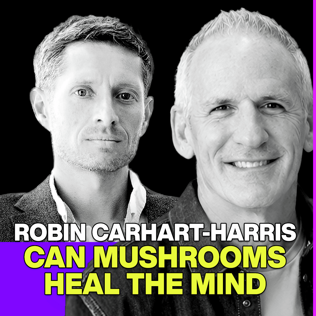 The Science of Psychedelics with Robin Carhart Harris episode artwork