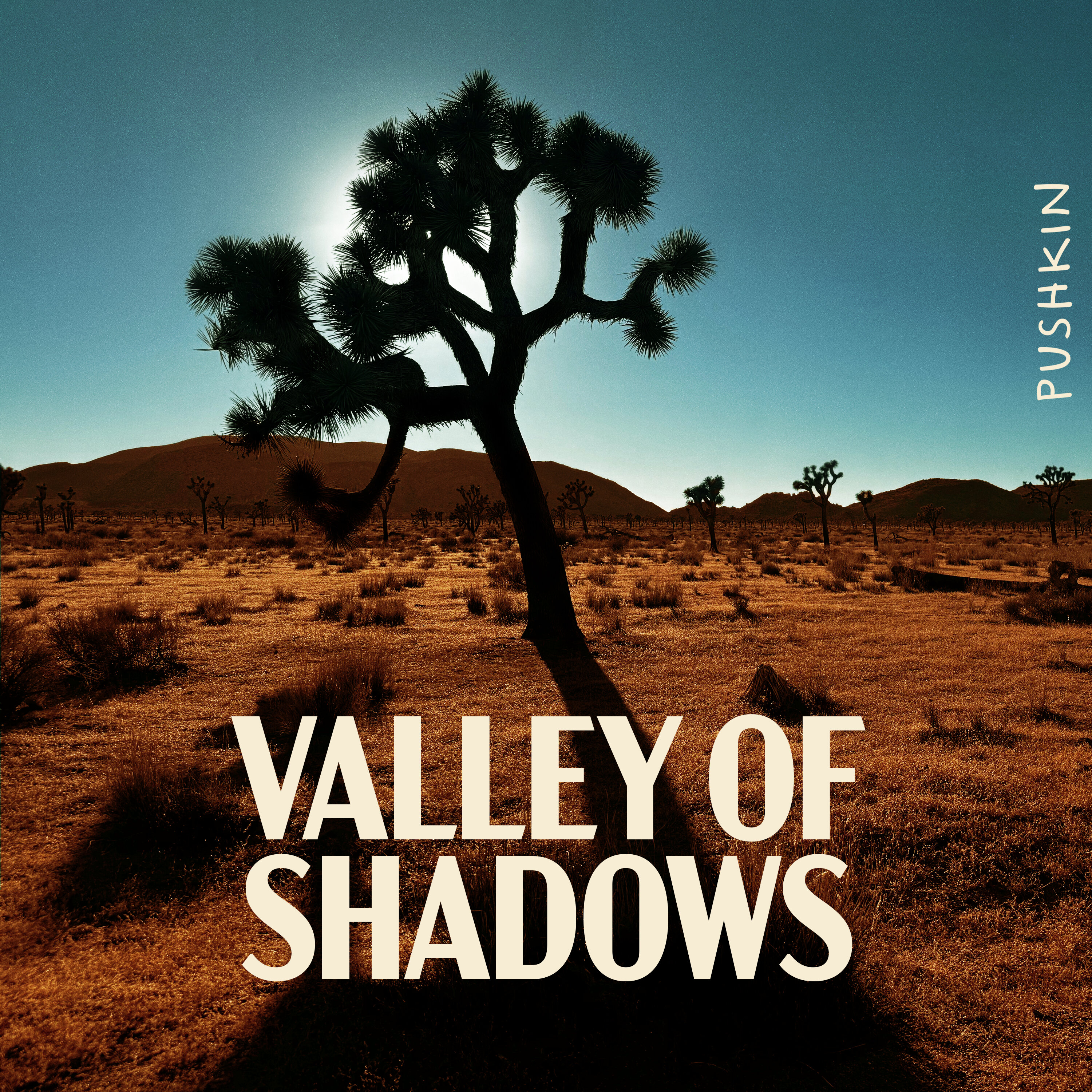 Introducing Valley of Shadows: Corruption in California’s Mojave Desert podcast